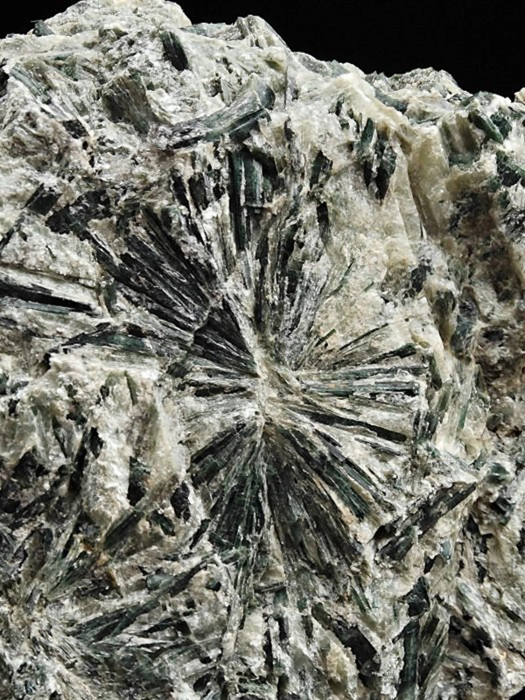 ALPINO, GREEN ACTINOLITE RAYS Crystals on matrix - Height...