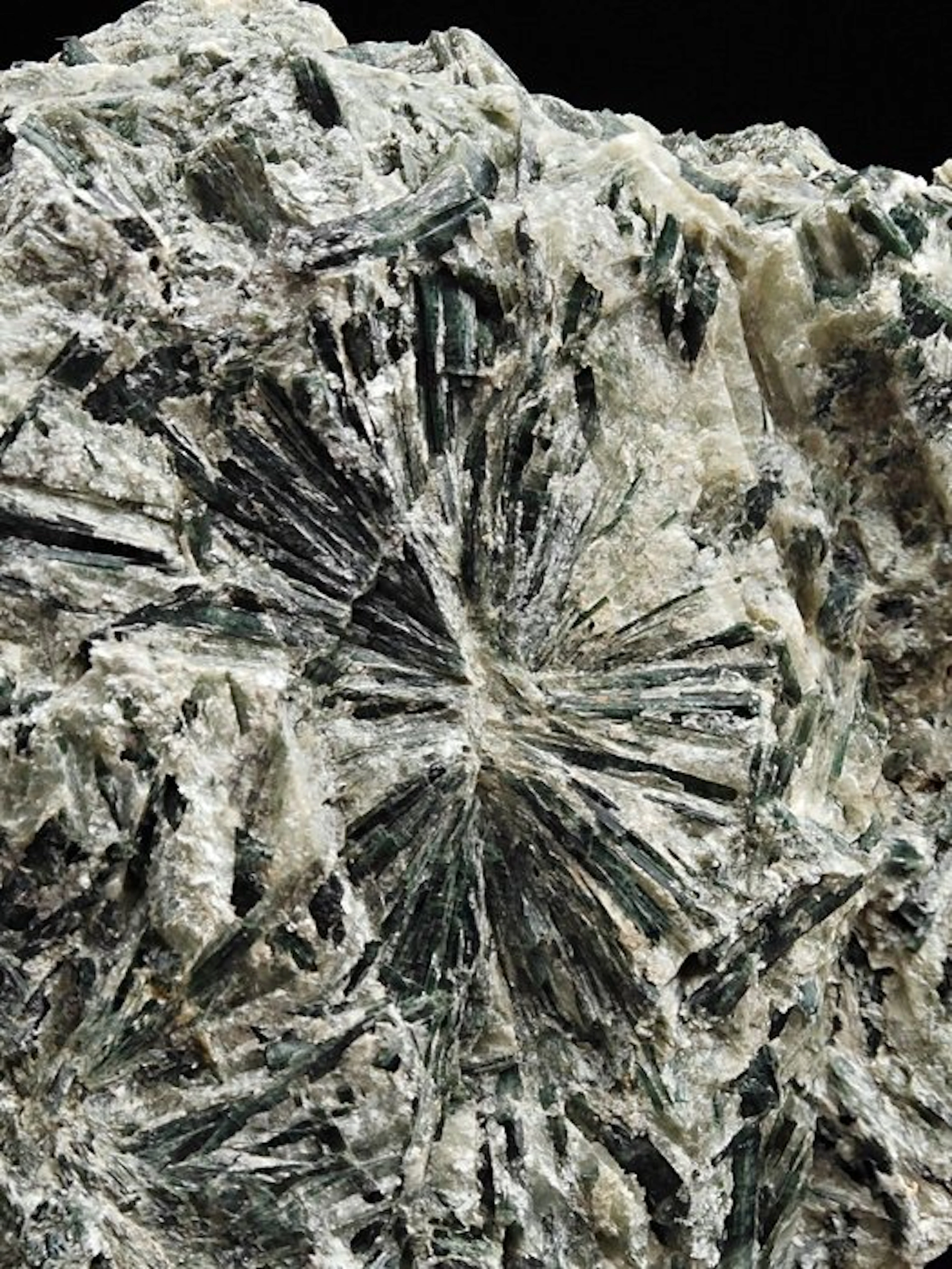 ALPINO, GREEN ACTINOLITE RAYS Crystals on matrix - Height...