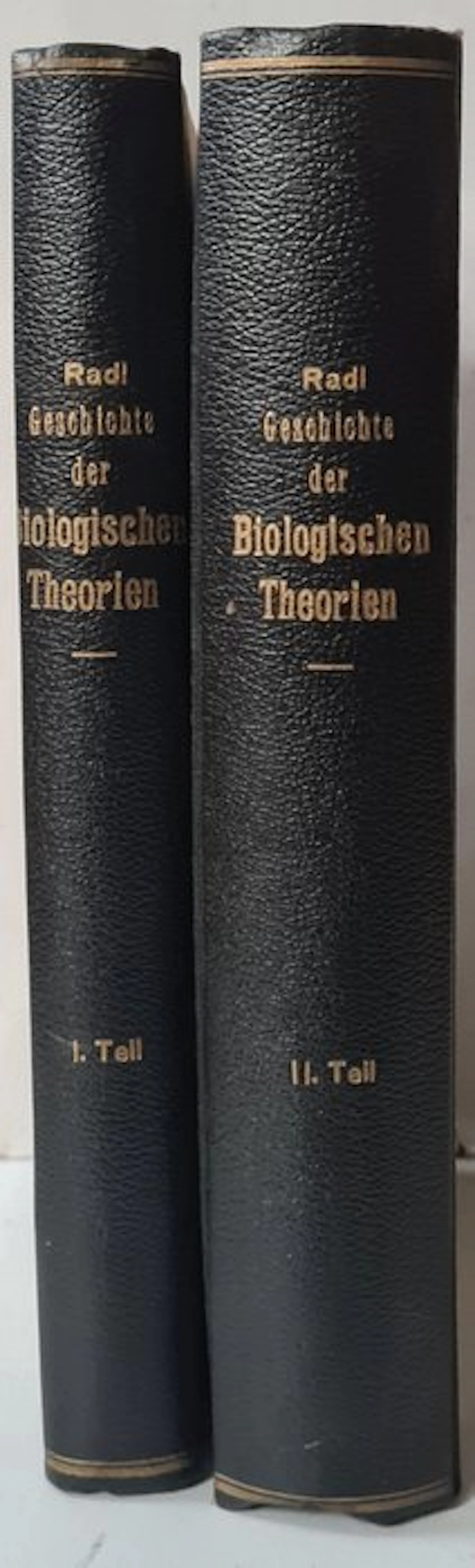 Emanuel Rádl - Geschichte der biologischen Theorien in der Neuzeit - 1909