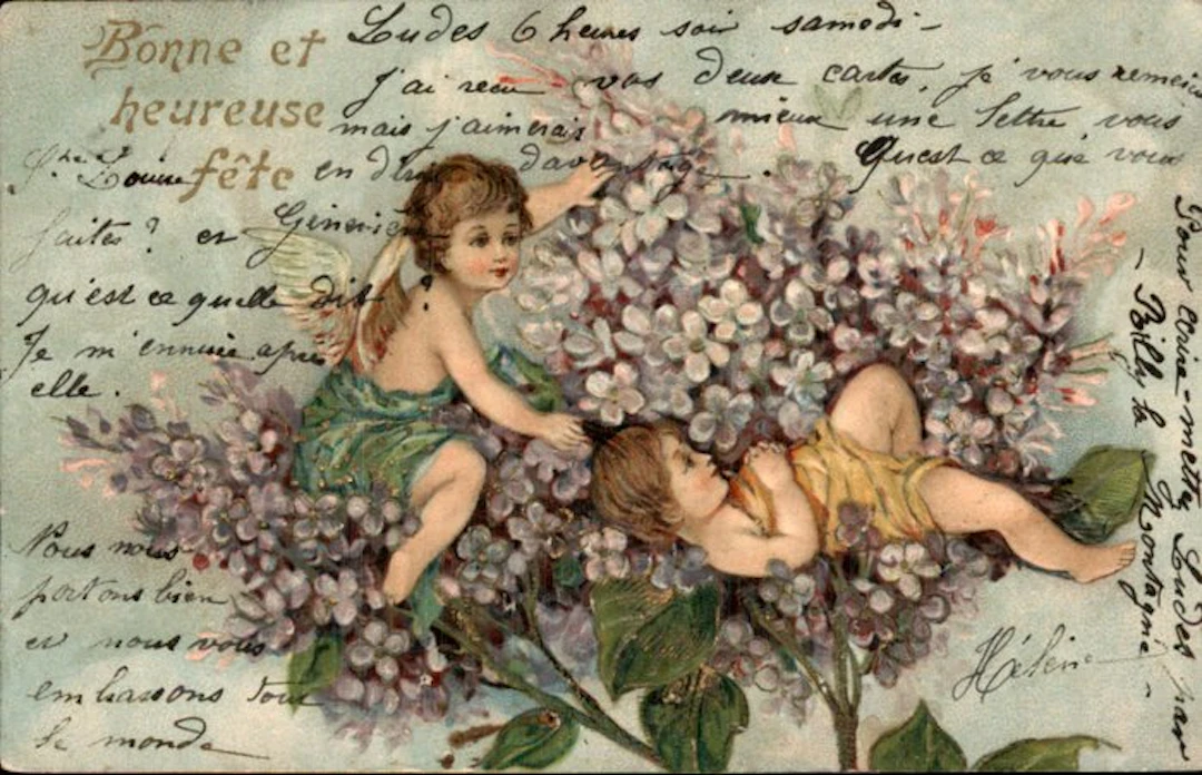 Flowers - Postcard (115) - 1900-1999