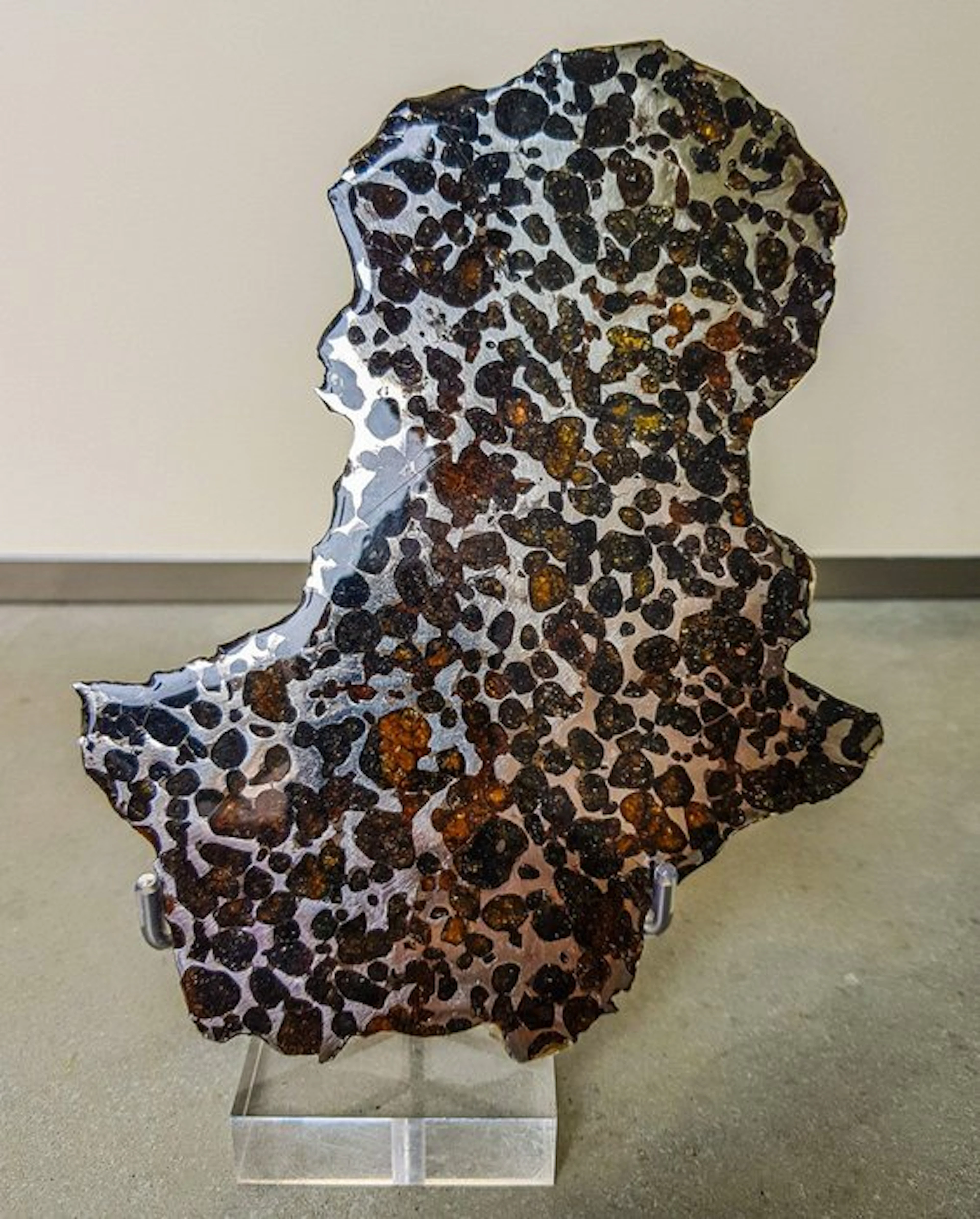 Pallasite Rare XXL Endcut 407 gram - Height: 18.6 cm...
