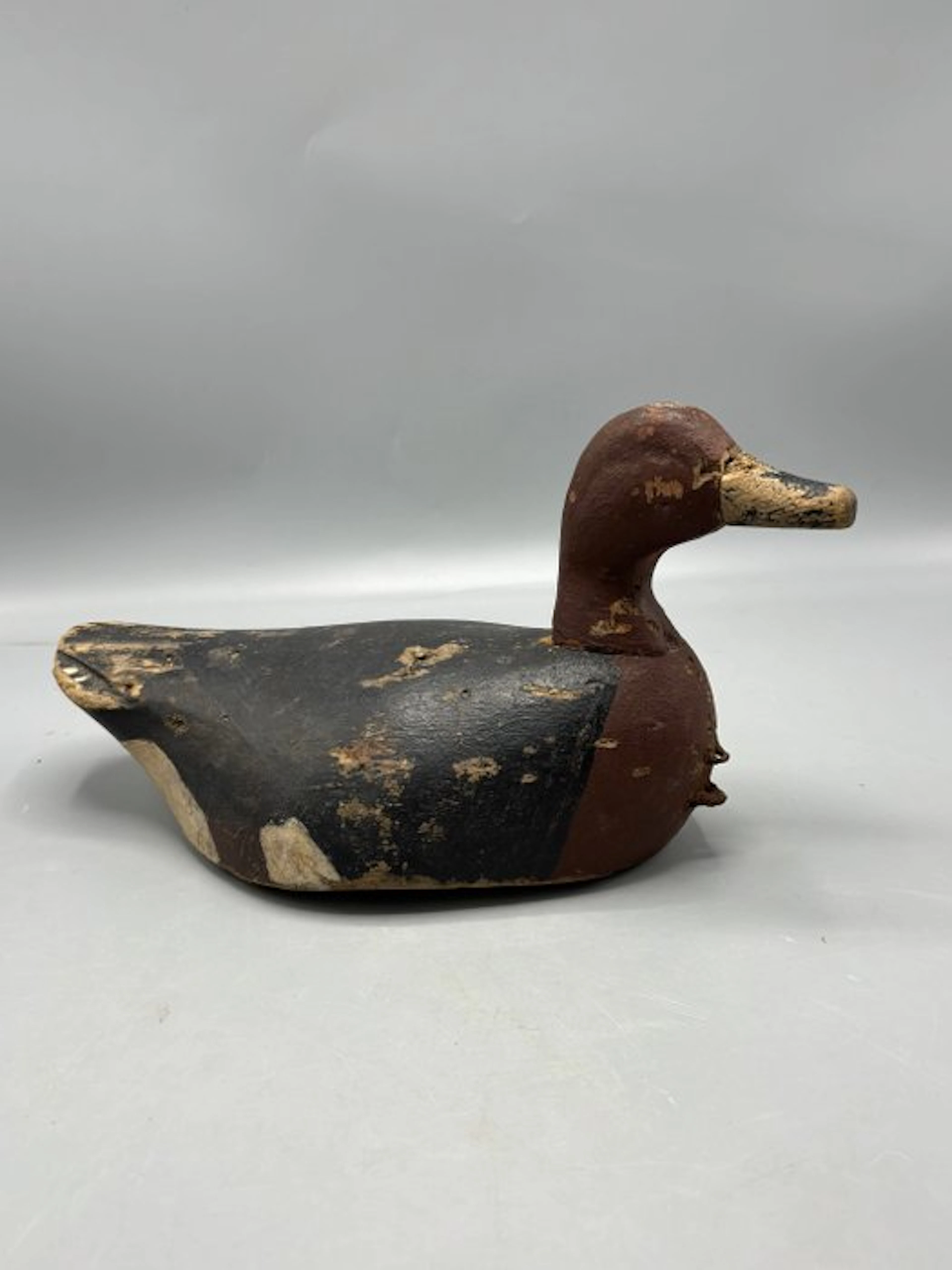 Duck decoy - Decoy Smient duck - Wood