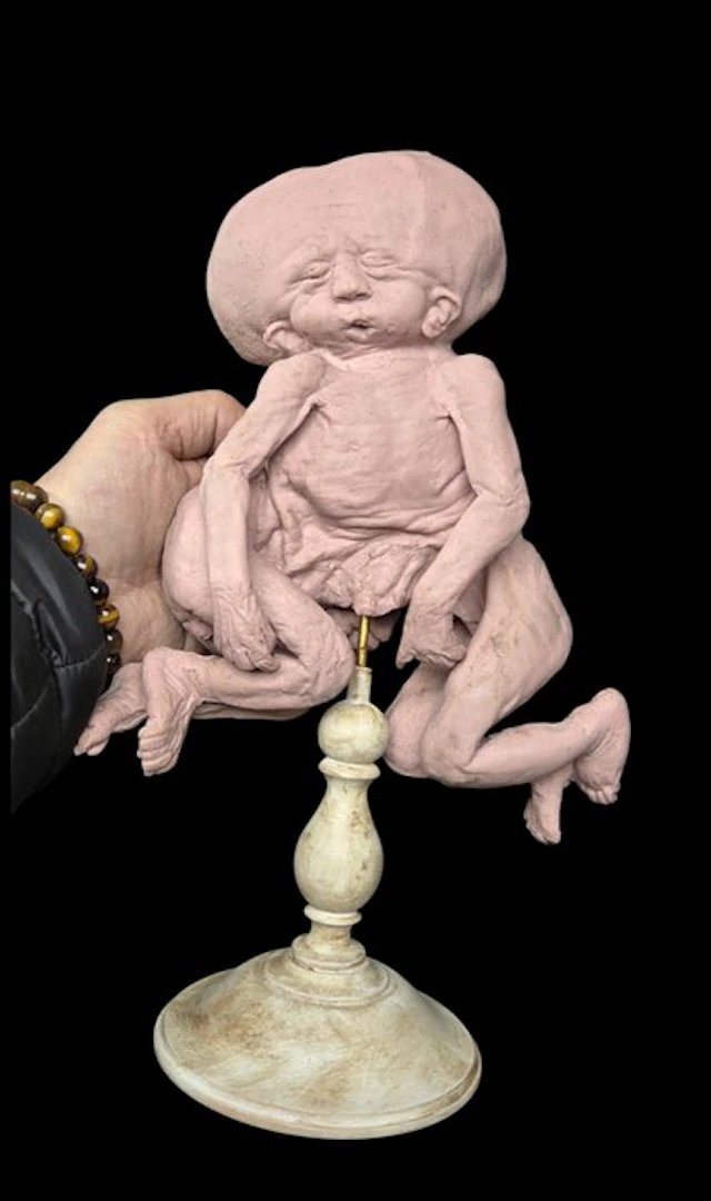 Curiosity cabinet - silicone human monster replica - copy...