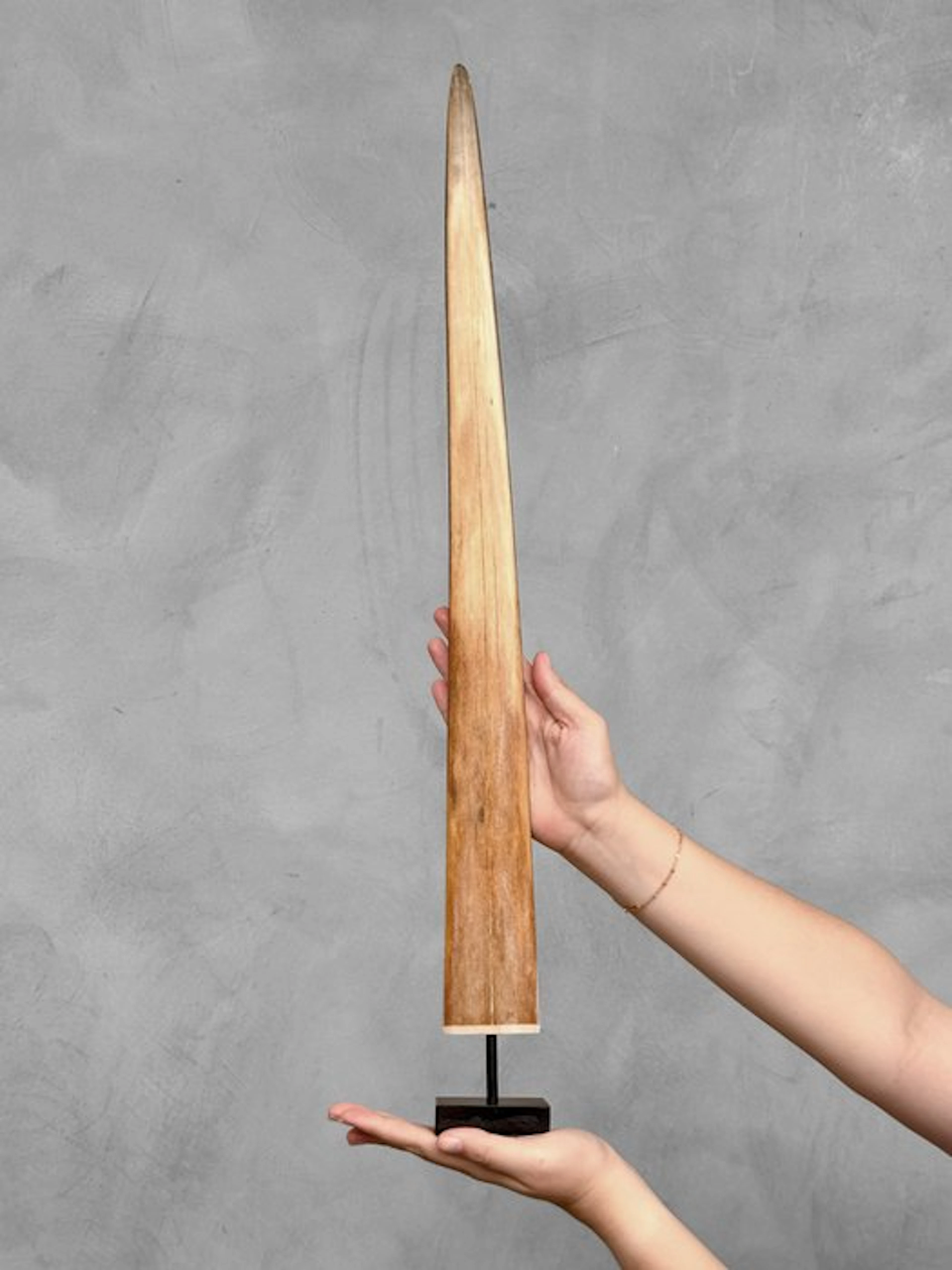 NO RESERVE PRICE - Stunning Swordfish tusk mounted on a...