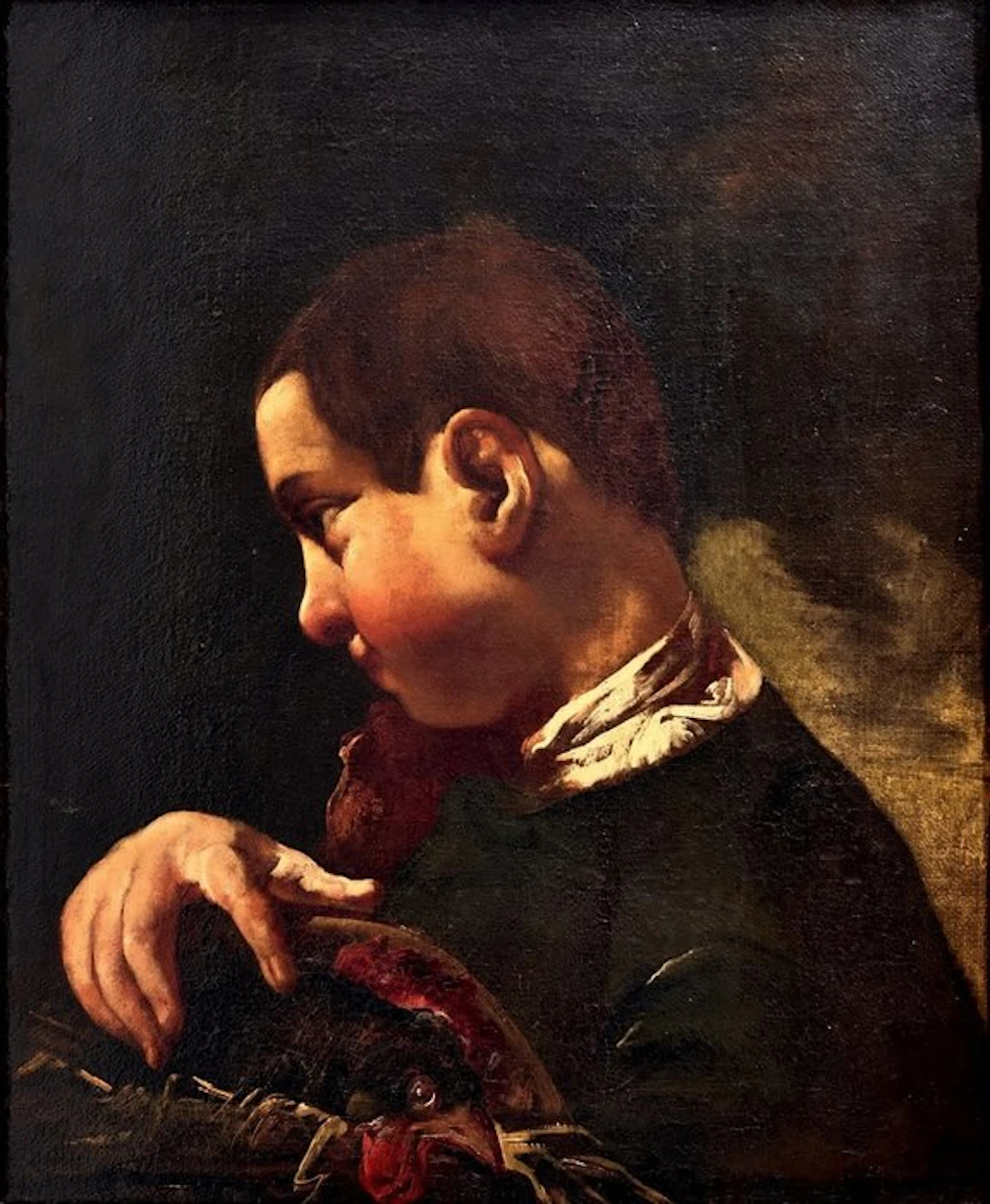 Domenico Fedeli