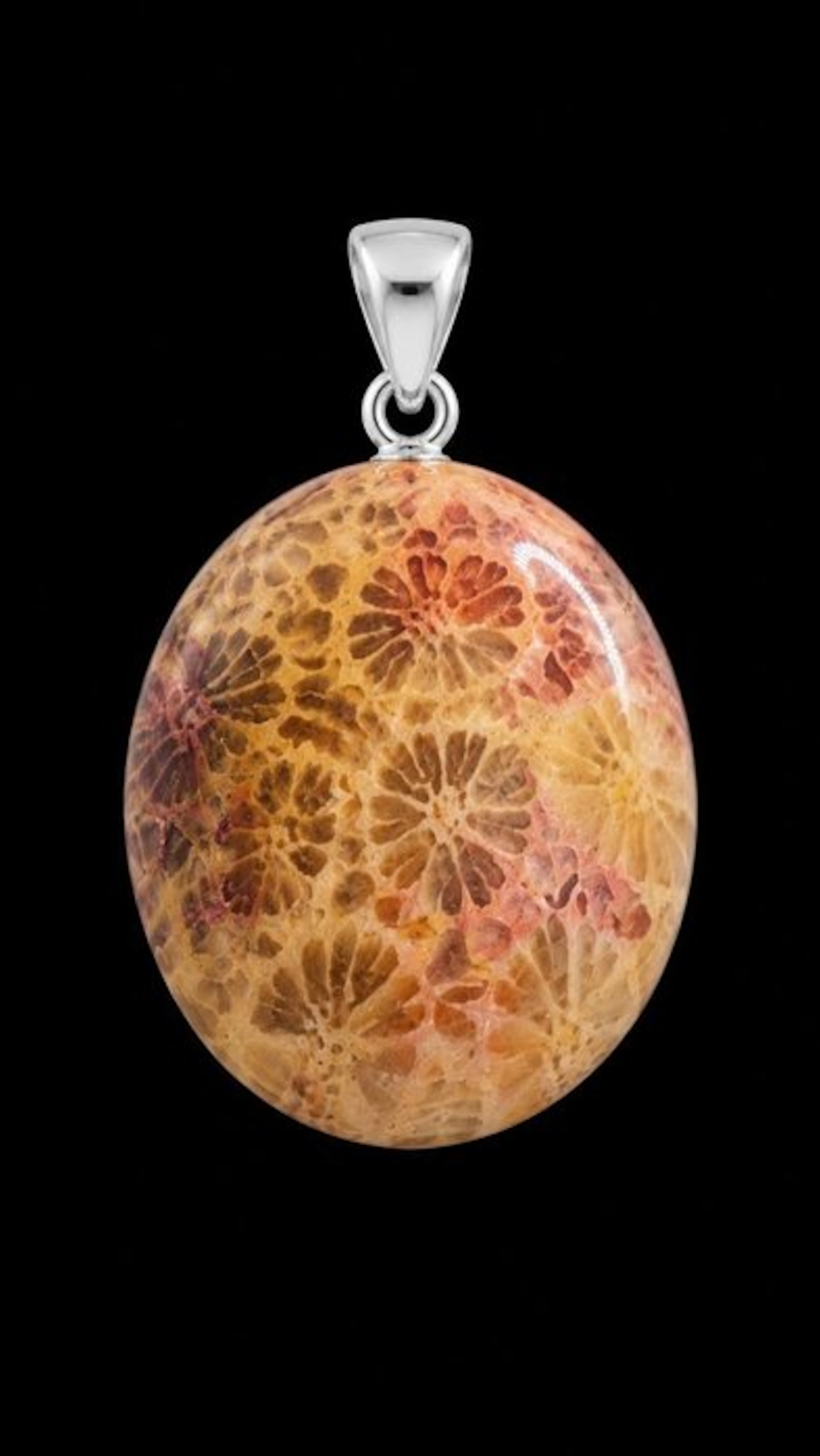 Chrysanthemum Fossil Coral Pendant - Set in 925 Silver - Pendant - Pendant