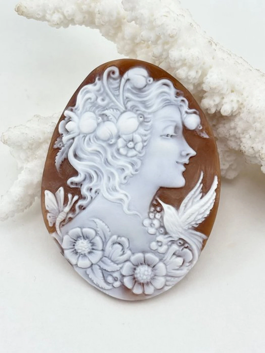 Cassis madagascariensis Cameo - Hand-engraved cameo