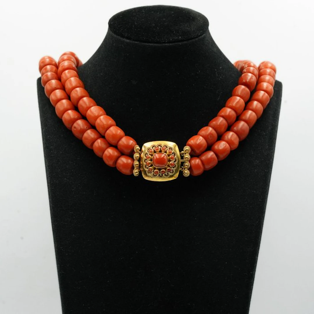 Chain - 14 kt. Yellow gold Blood Coral
