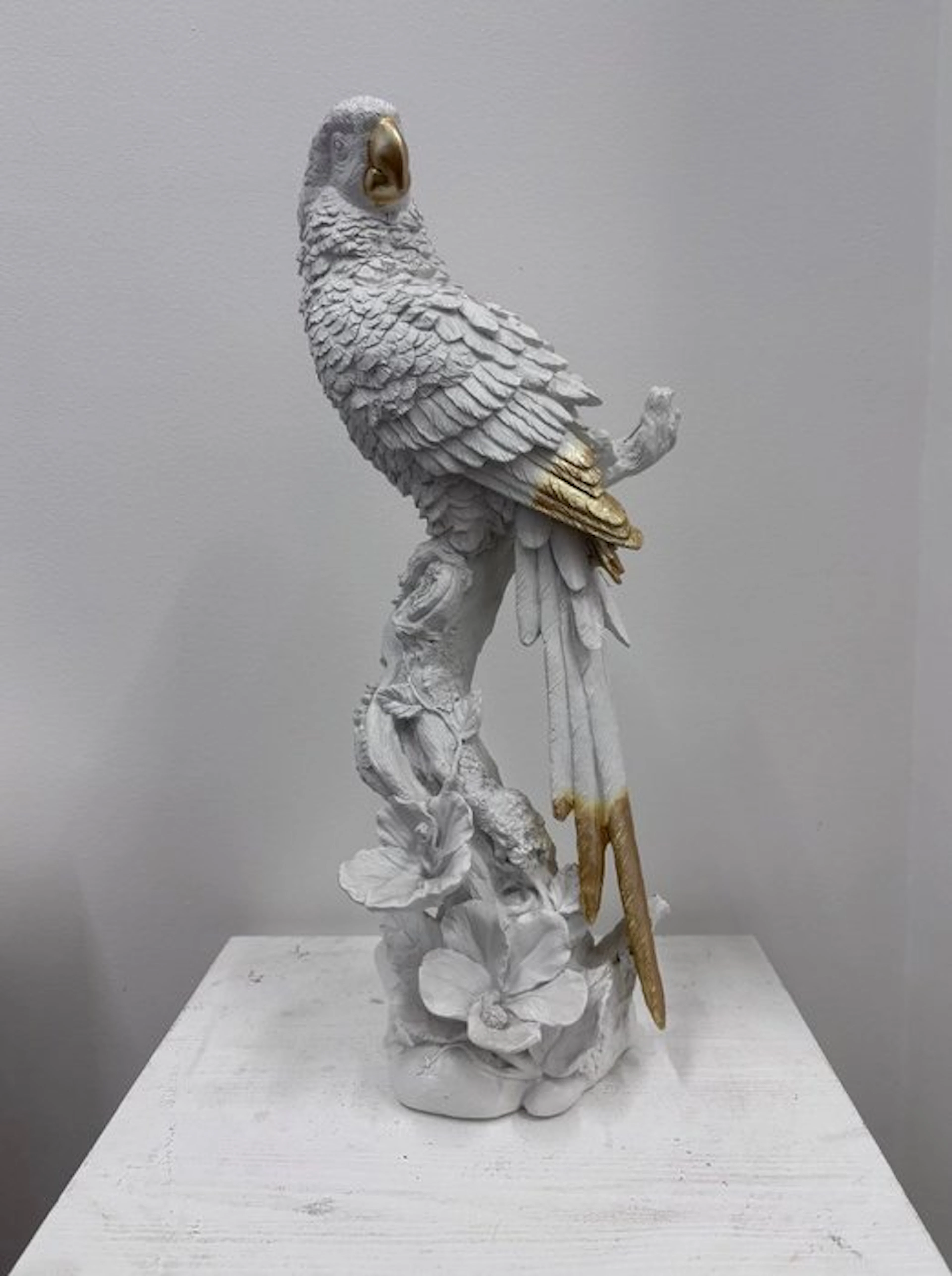 Sculpture, Pappagallo - 46 cm - Resin