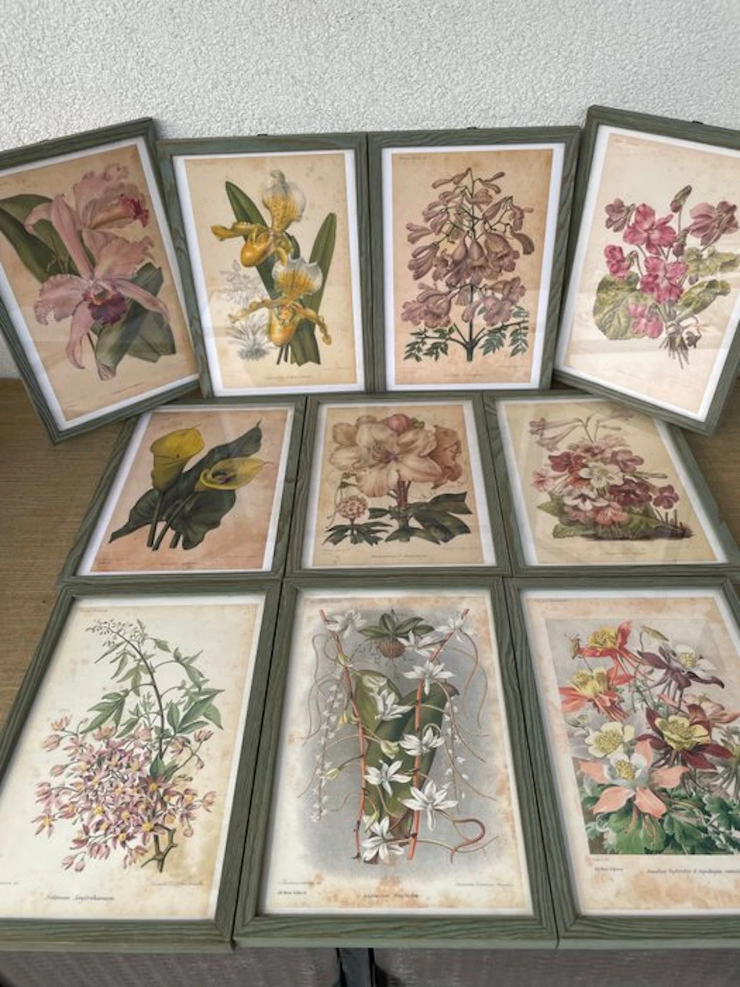 Frame (10)- Plants and flowers - Wood, Color lithography