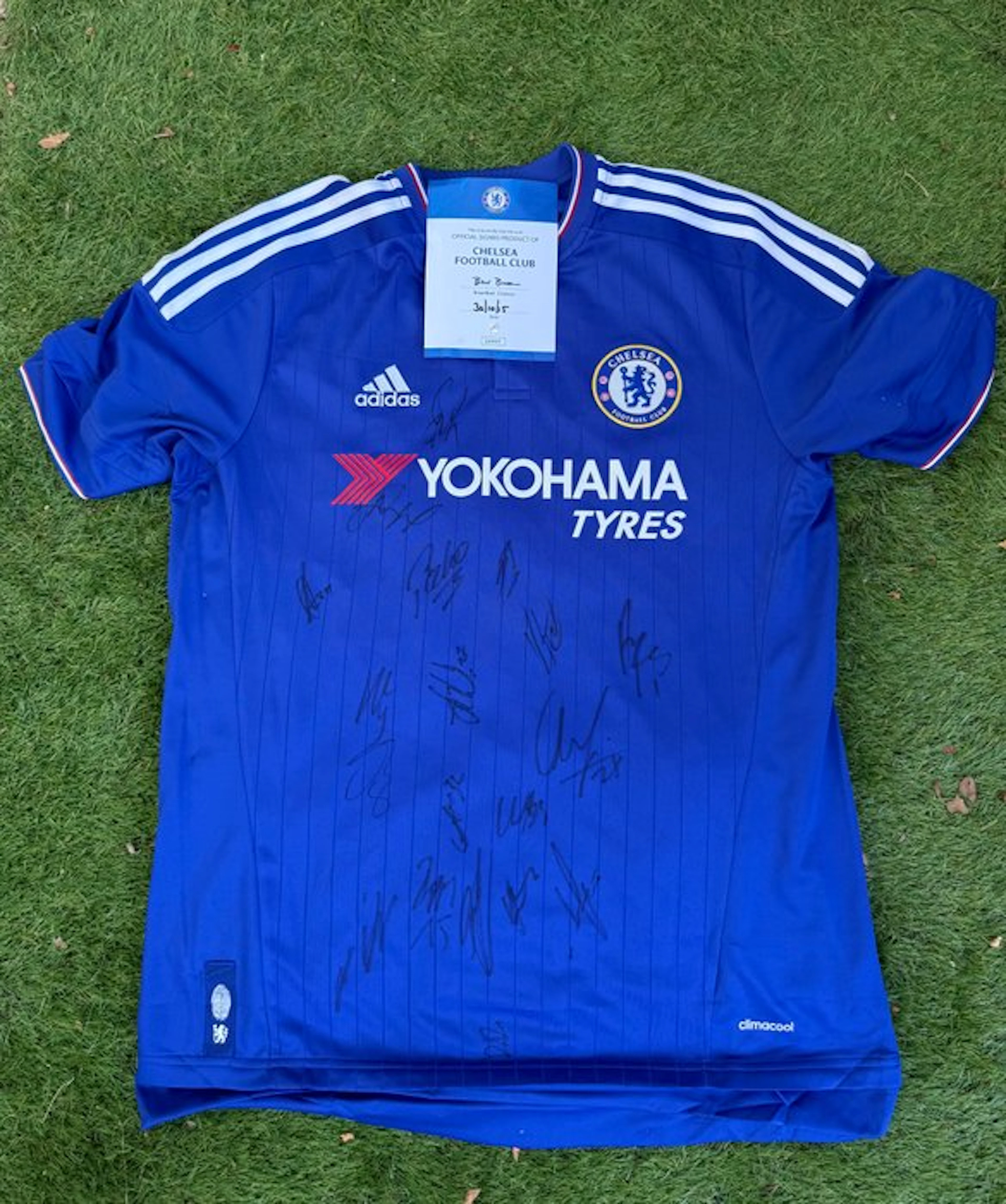 Chelsea - English Football League - 2015 - Football jersey