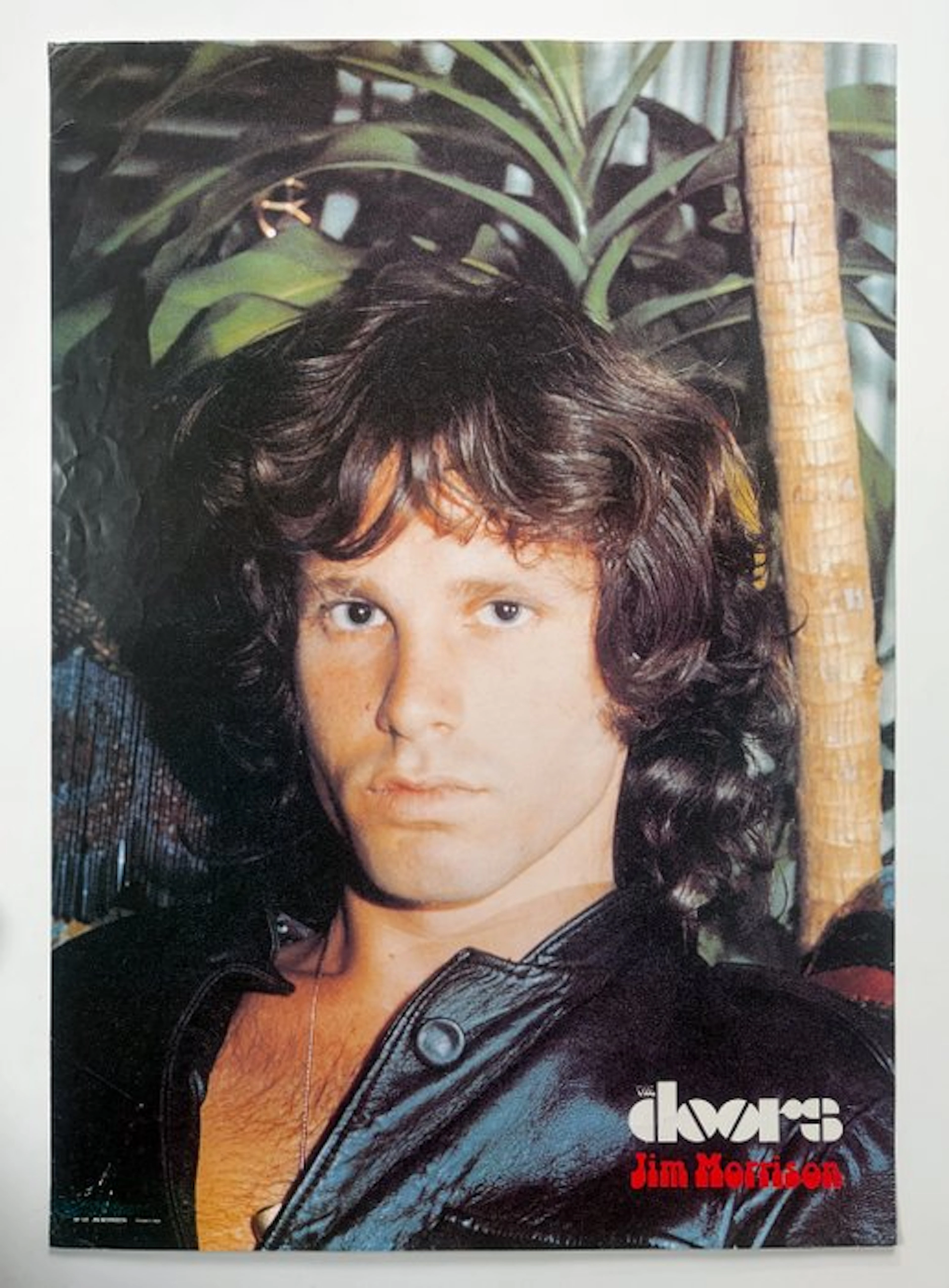 Jim Morrison - NO RESERVE - Vintage music poster - 1980s