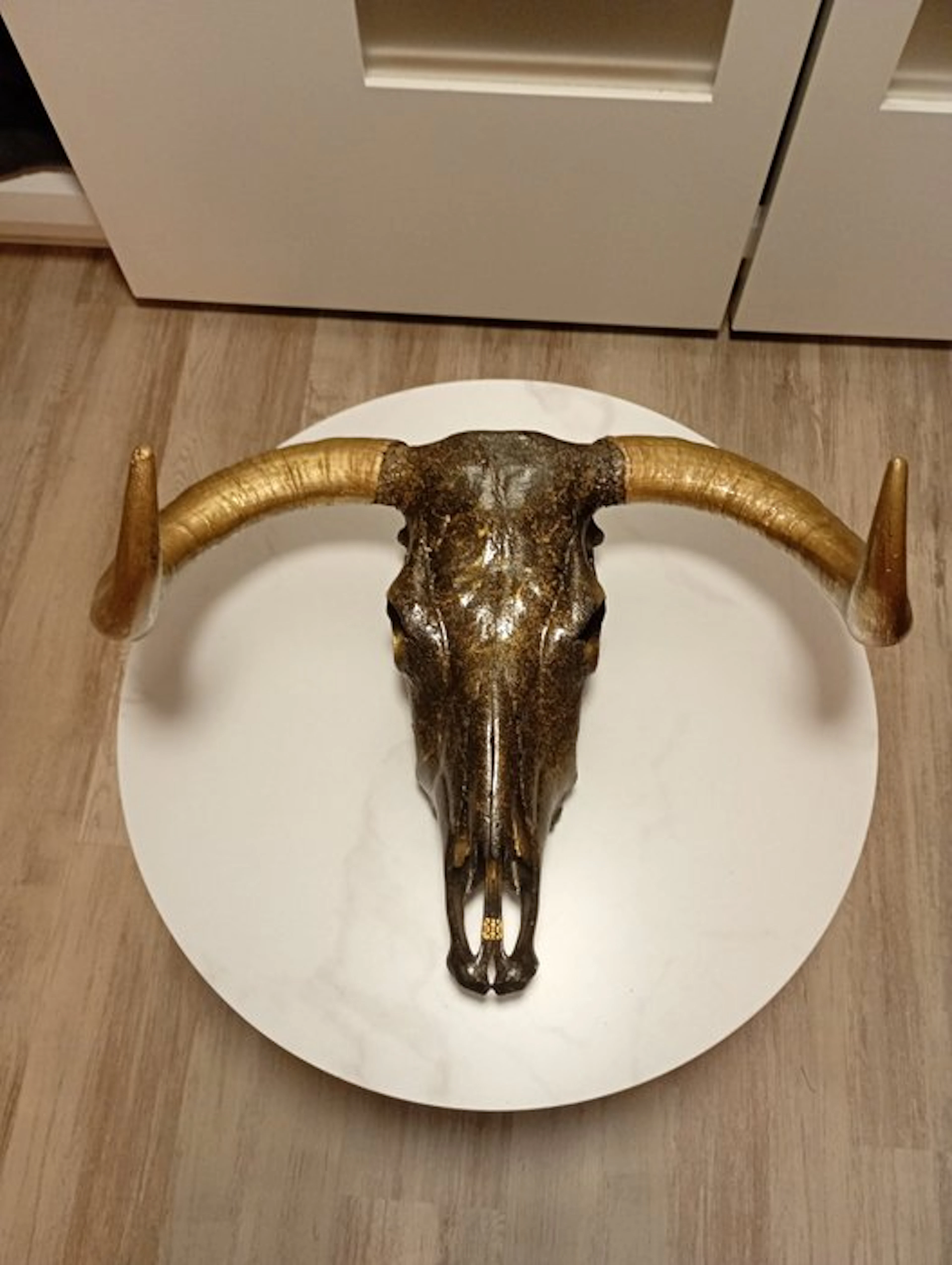 Cow Mammal skull - Bos taurus - 30 cm - 70 cm - 50 cm - (1)