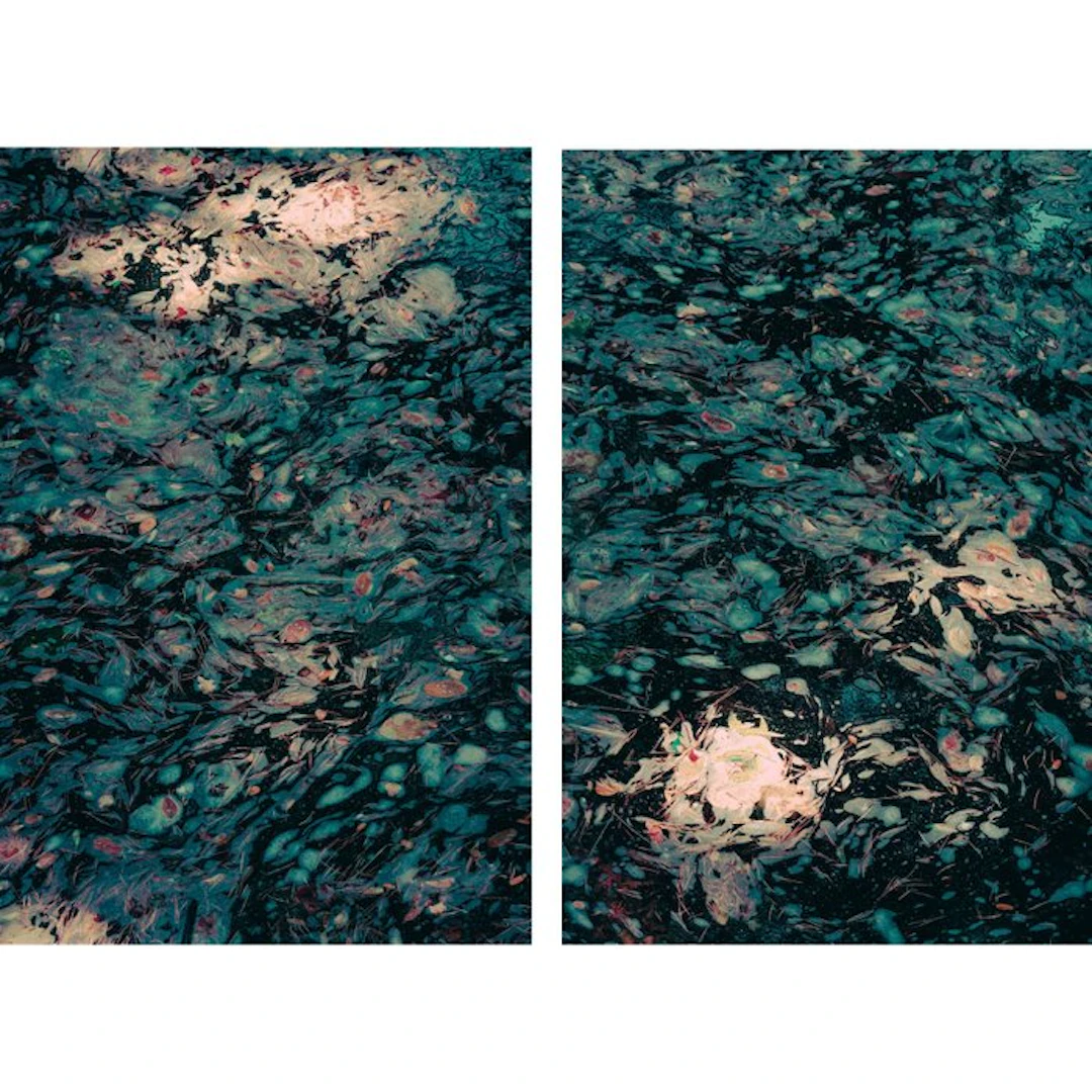 Jorge Omeñaca - Memories of Monet