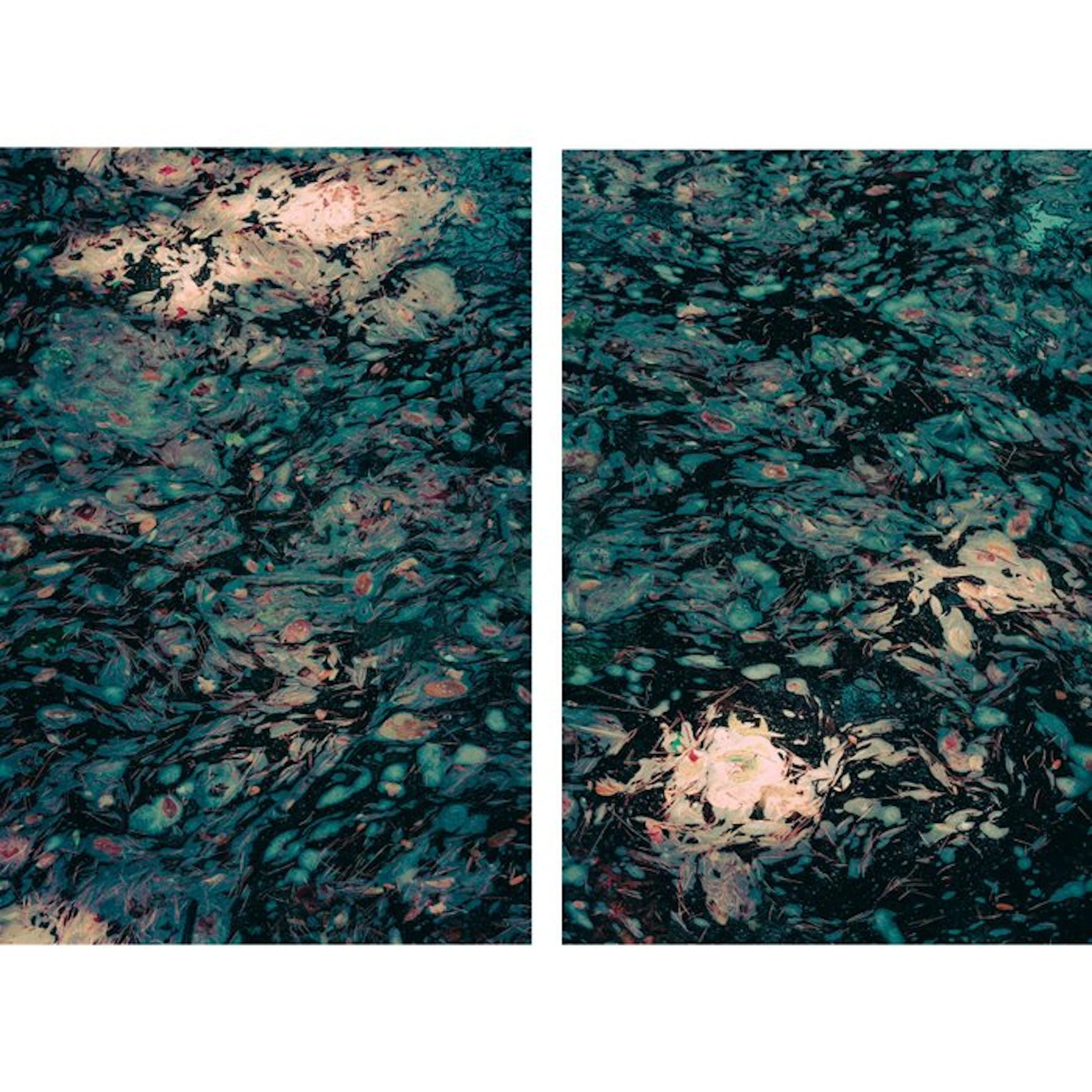 Jorge Omeñaca - Memories of Monet
