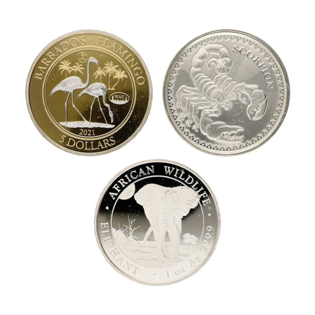 Barbados, Chad, Somalia. 2021/2025 - "Animals" (3 stuks) (No reserve price)