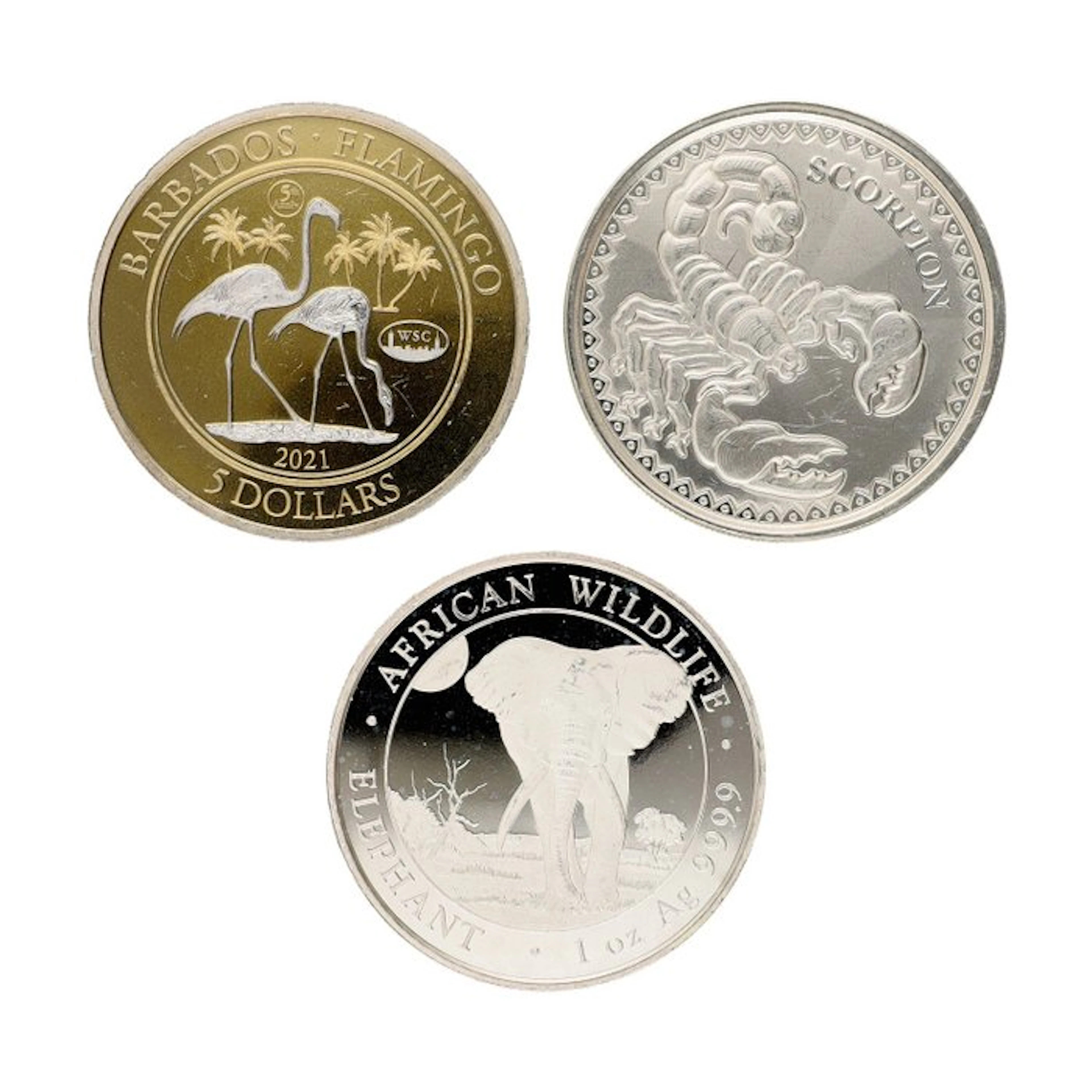 Barbados, Chad, Somalia. 2021/2025 - "Animals" (3 stuks) (No reserve price)