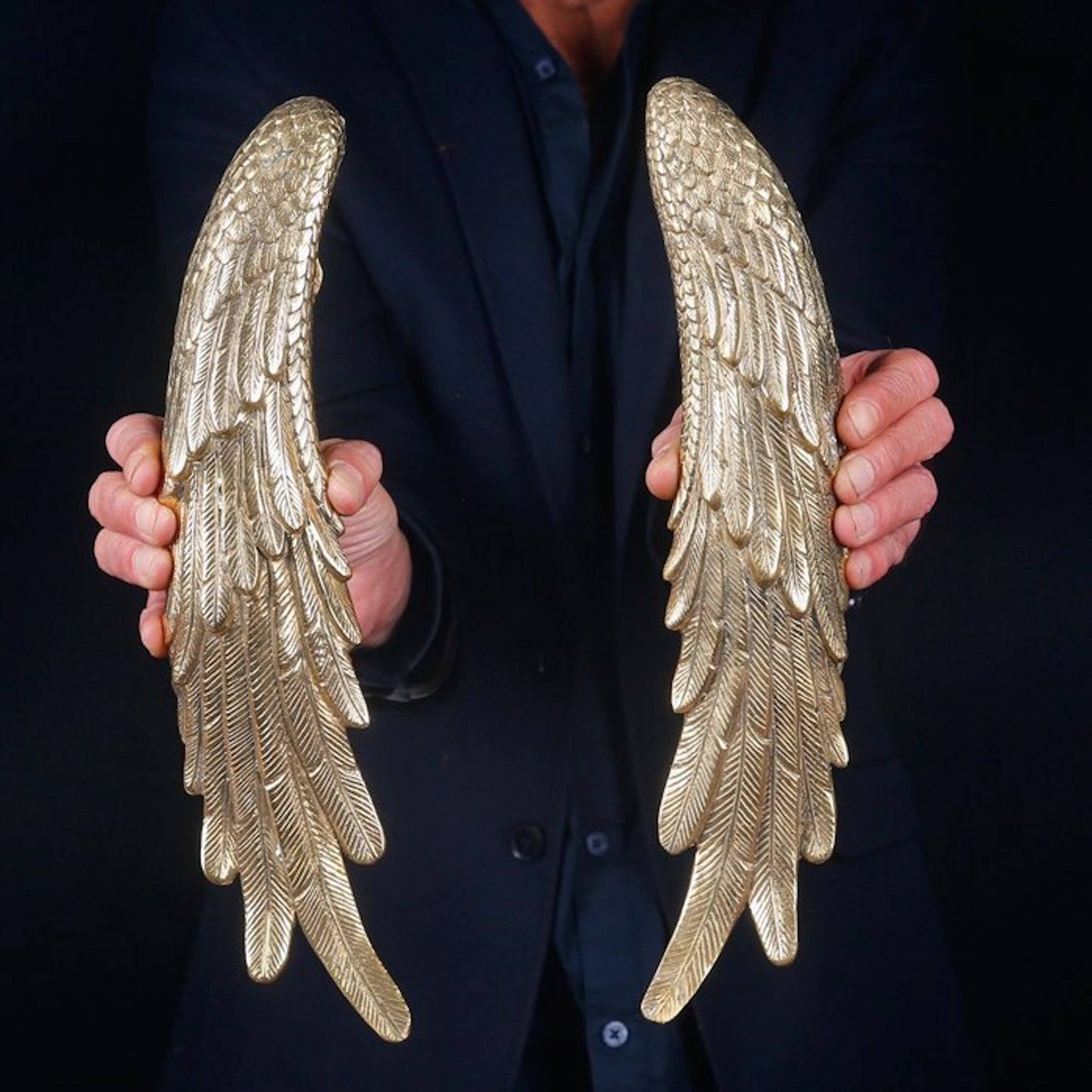 Unique Eclectic Brass Angel Wing Handles - Exquisitely...