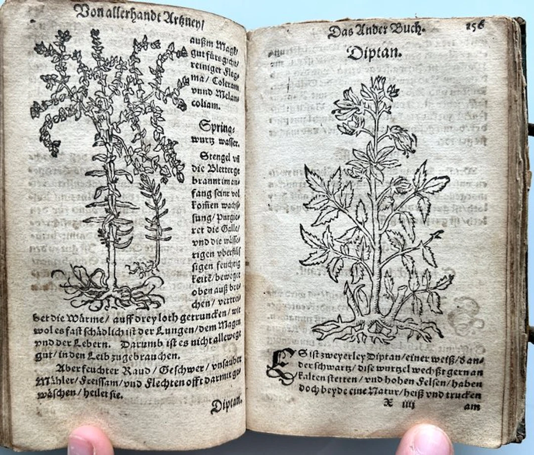 Walter Herman Ryff - Kurtz Handtbüchlin und Experiment vieler Artzneyen - 1579