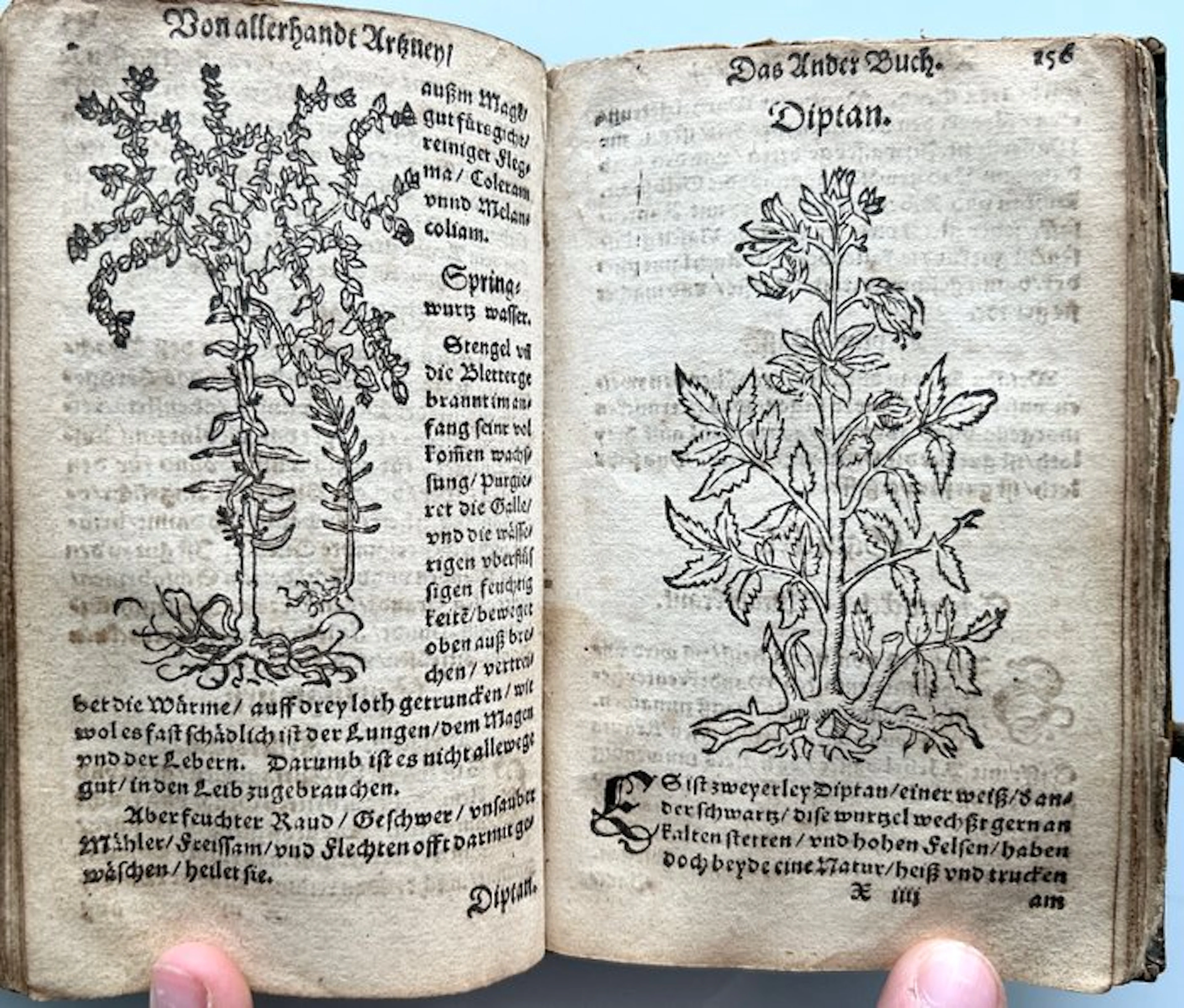 Walter Herman Ryff - Kurtz Handtbüchlin und Experiment vieler Artzneyen - 1579
