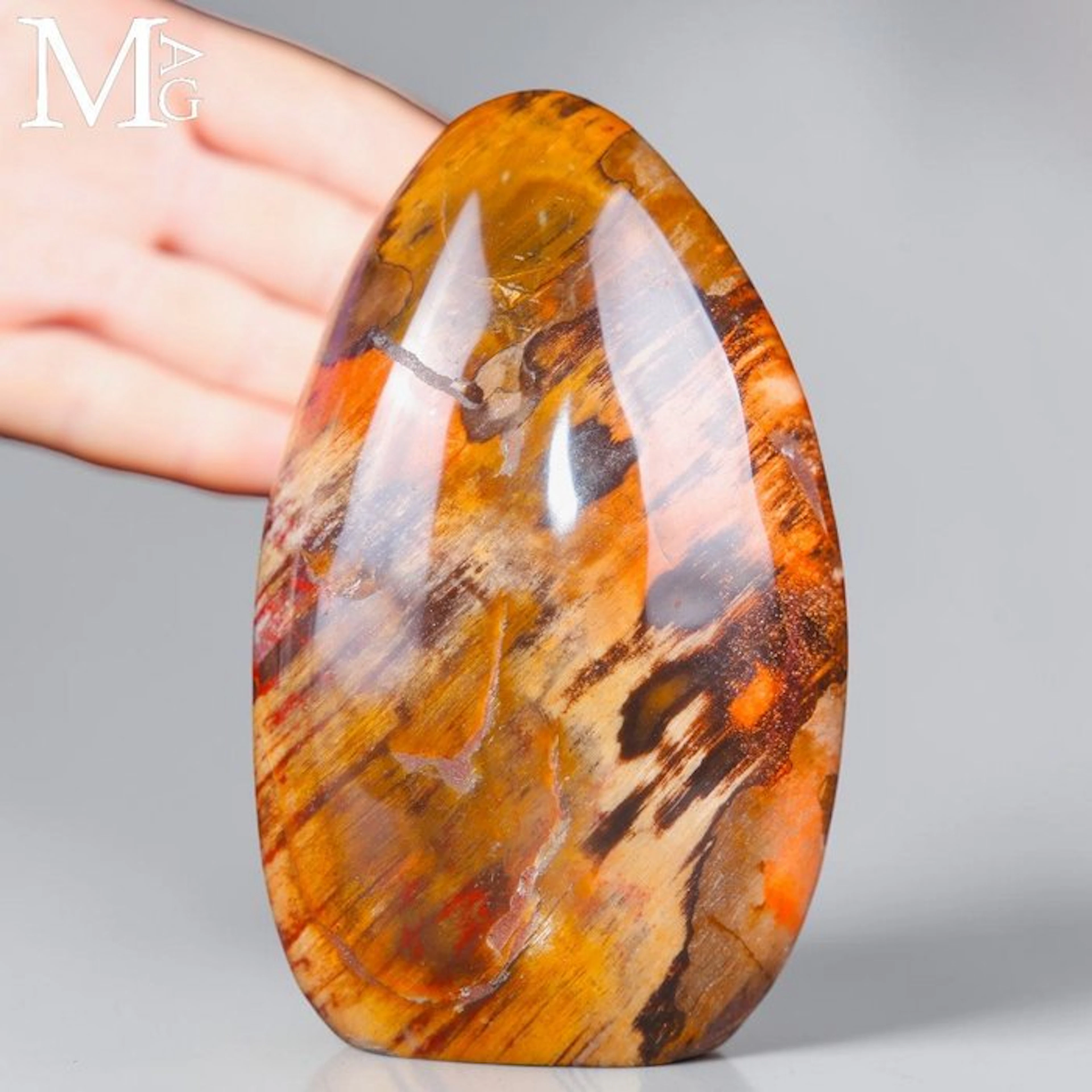 Polished Petrified Wood - A stunning freeform carving...