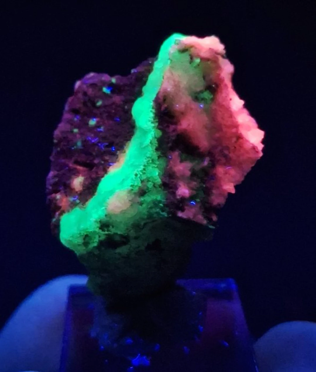Very rare "Watermelon" calcite Fluorescent - Height: 3.5...