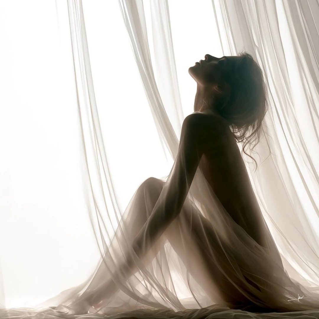 David Law - The Dreamed Shadows II
