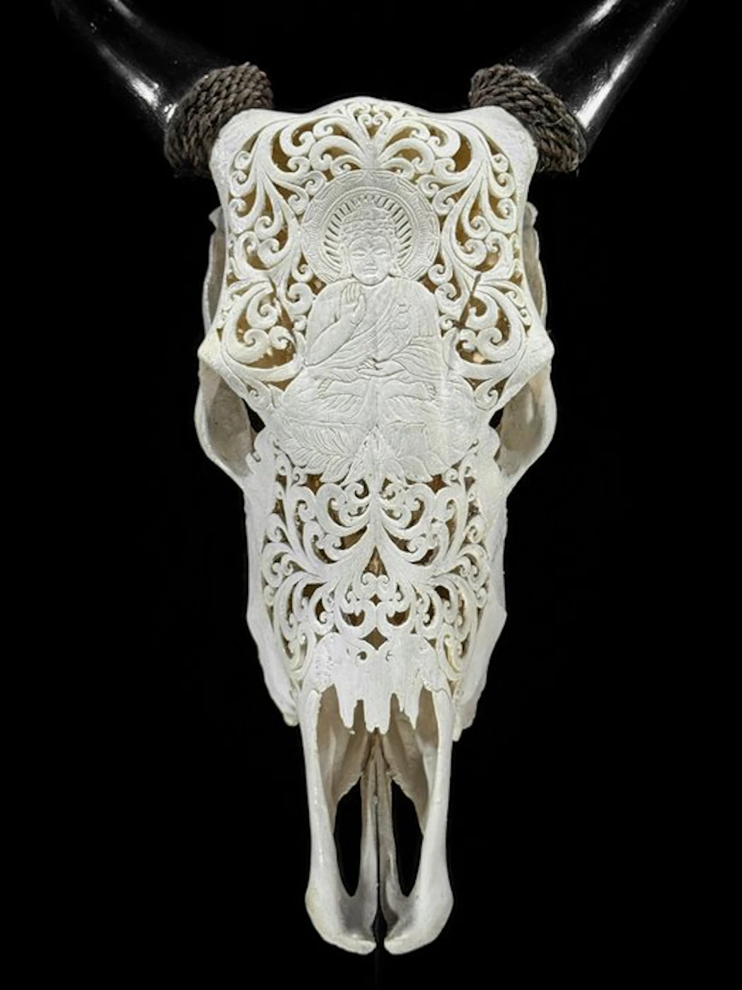 NO RESERVE PRICE - Authentic White Carved Cow Skull...