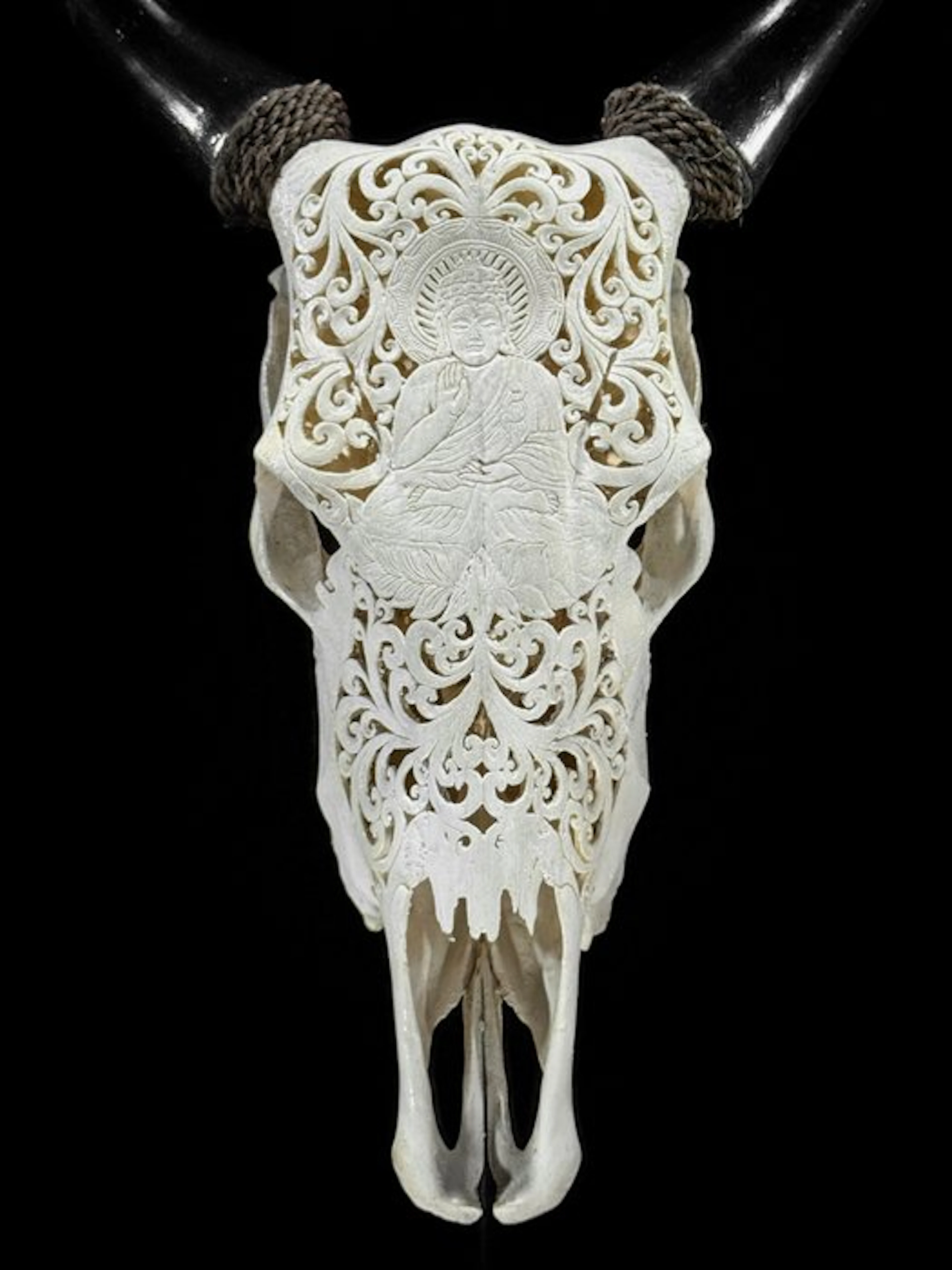 NO RESERVE PRICE - Authentic White Carved Cow Skull...