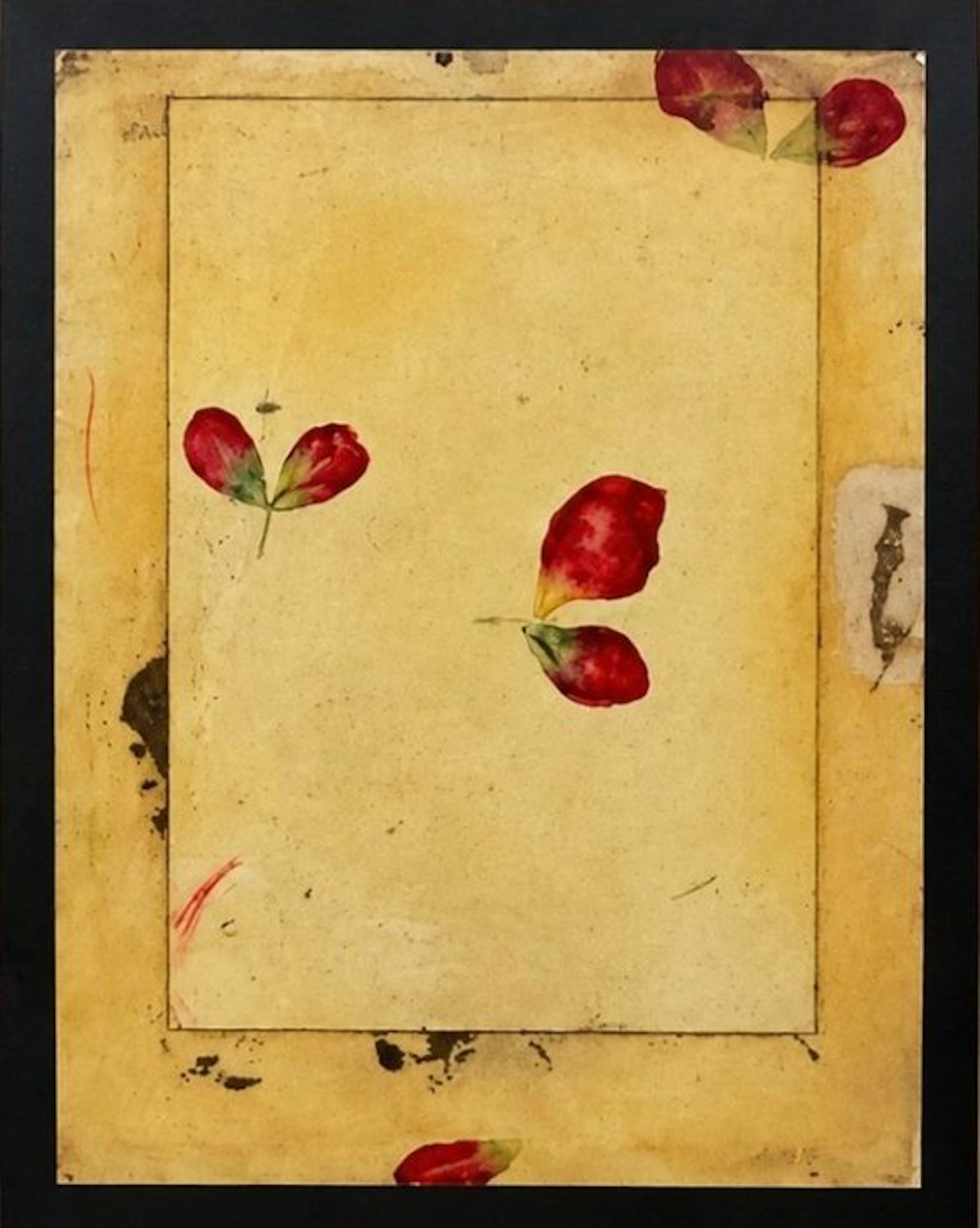 Antonio Murado (1964) - Petalos II