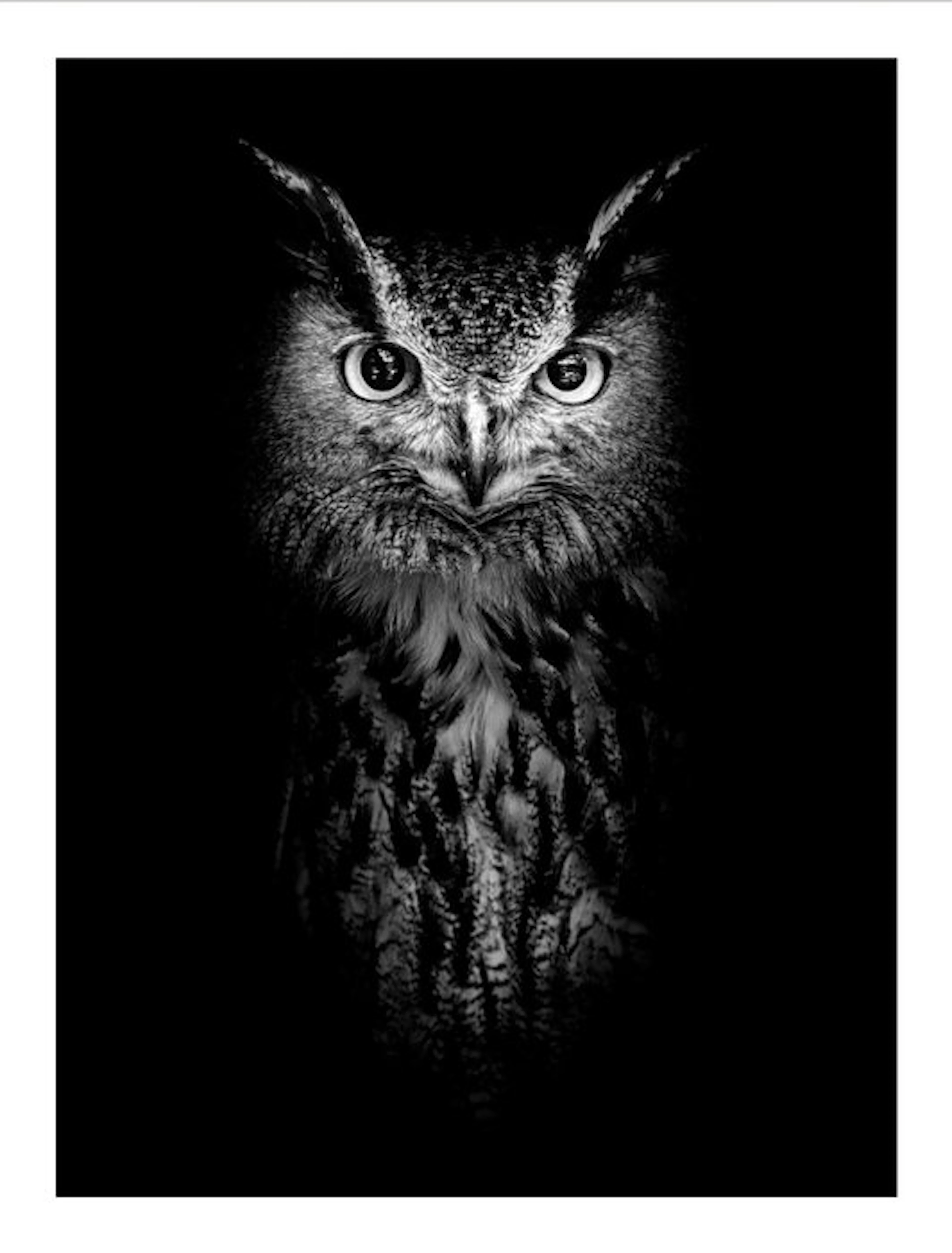 Jeffrey Van Daele - Sentinel of Wisdom