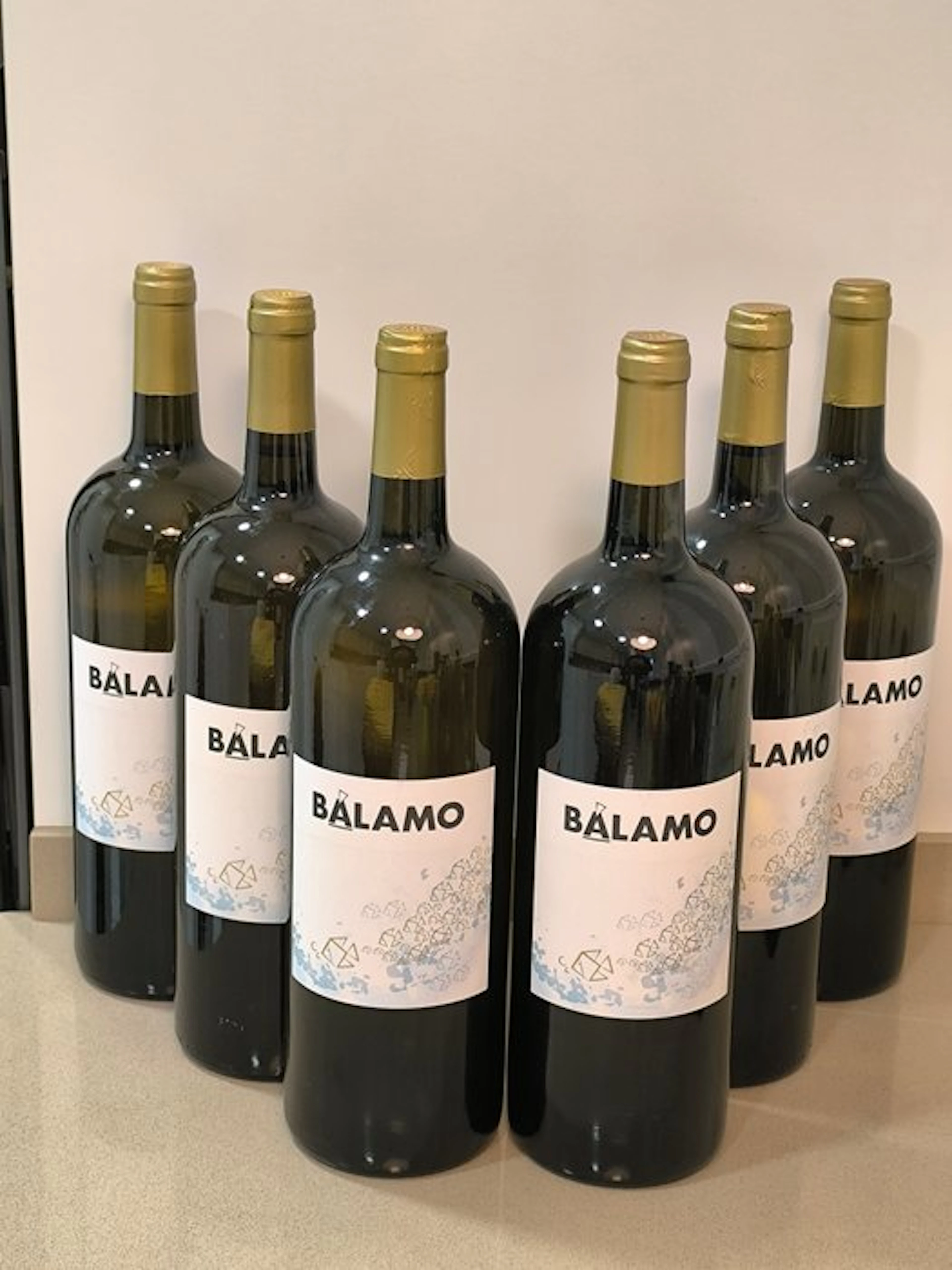 Bodegas La Vereda Tierra y Vinos, Balamo - Rias Baixas CVC - 6 Magnums (1.5L)