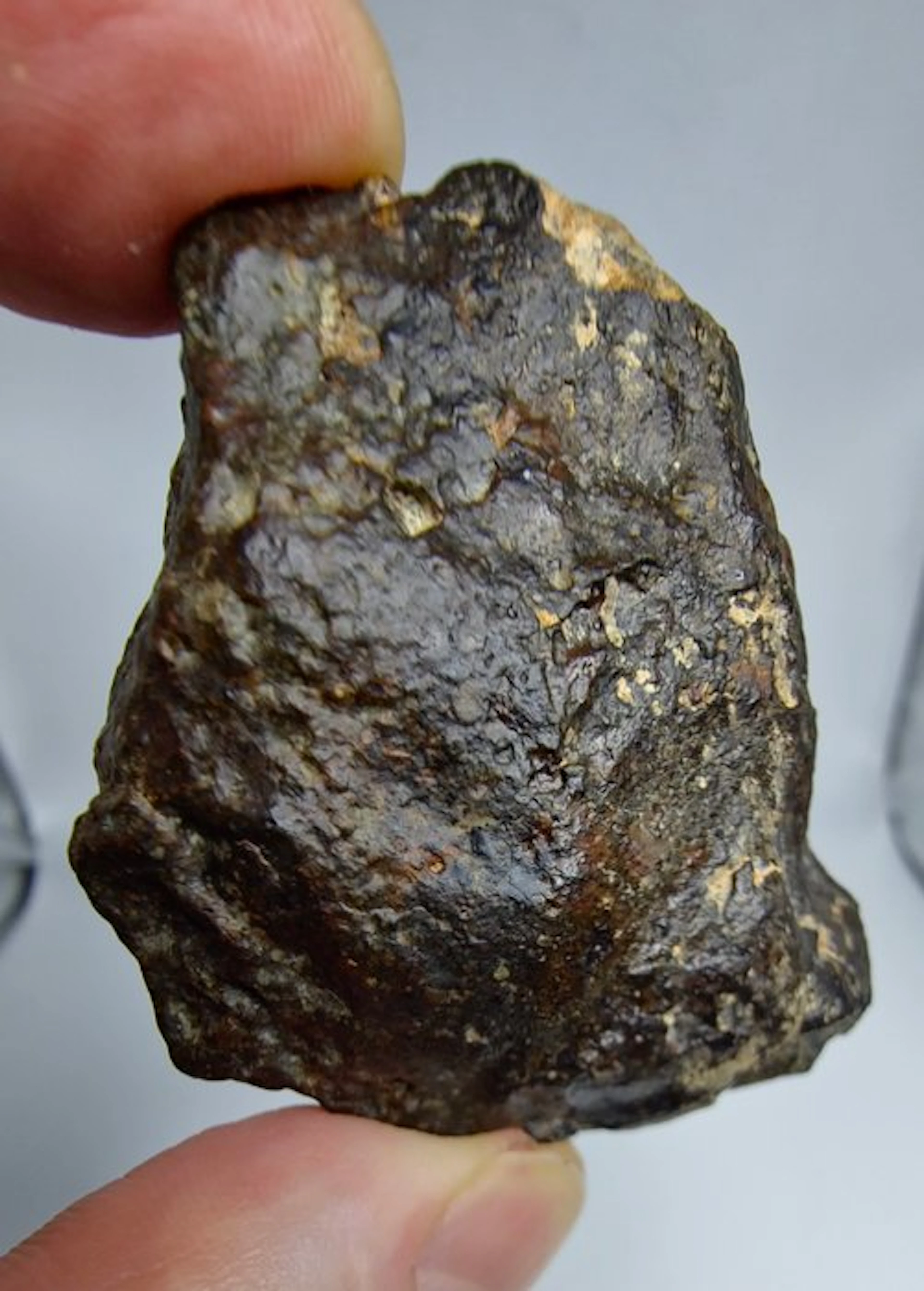 NWA 869 Meteorite, L3-6. The most famous chondrite. - 86.49 g