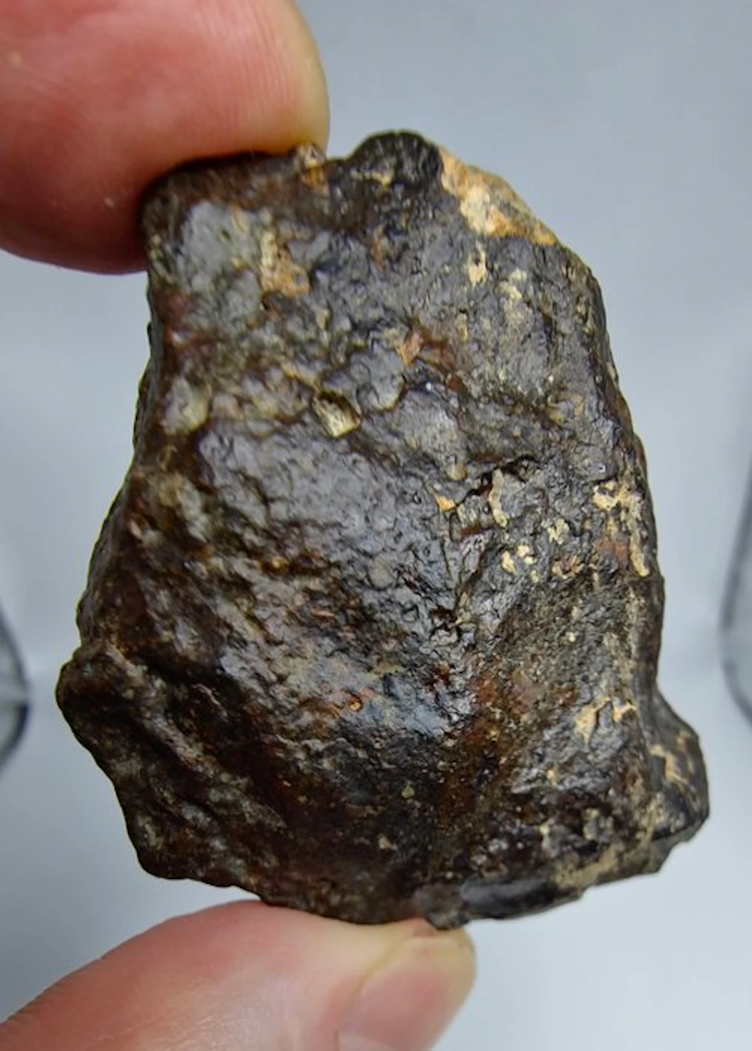NWA 869 Meteorite, L3-6. The most famous chondrite. - 86.49 g
