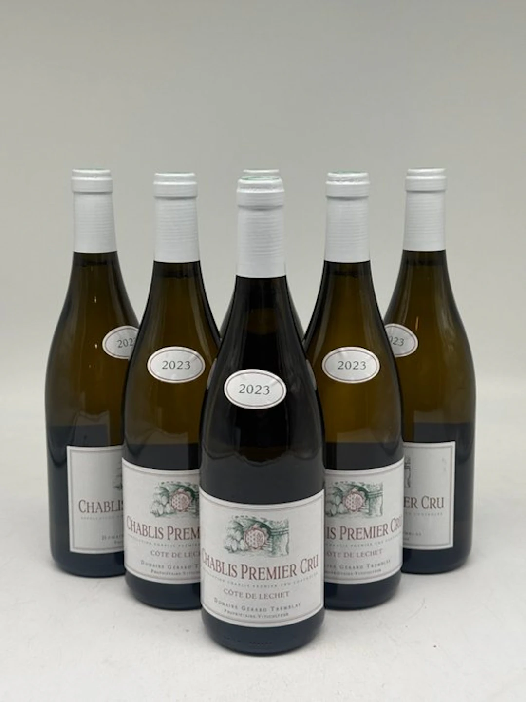 2023 Gerard Tremblay , "Côte de Léchet" - Chablis 1er Cru - 6 Bottles (0.75L)