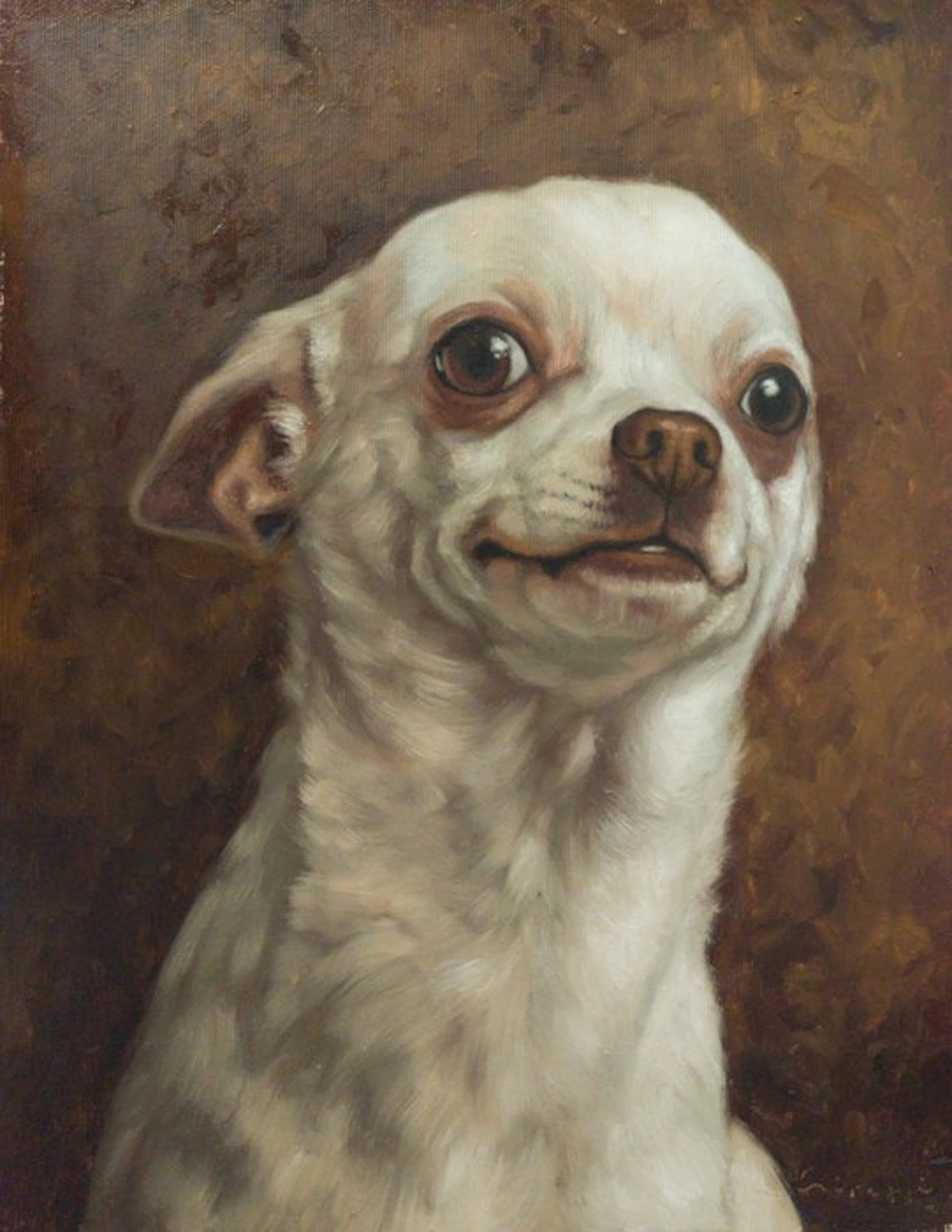 Cirezzi - ​Chihuahua Blanco Sonriente