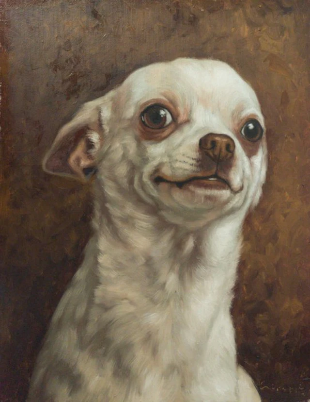 Cirezzi - ​Chihuahua Blanco Sonriente