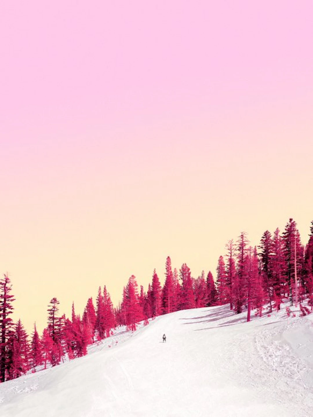 Téber - Cherry Winterscape