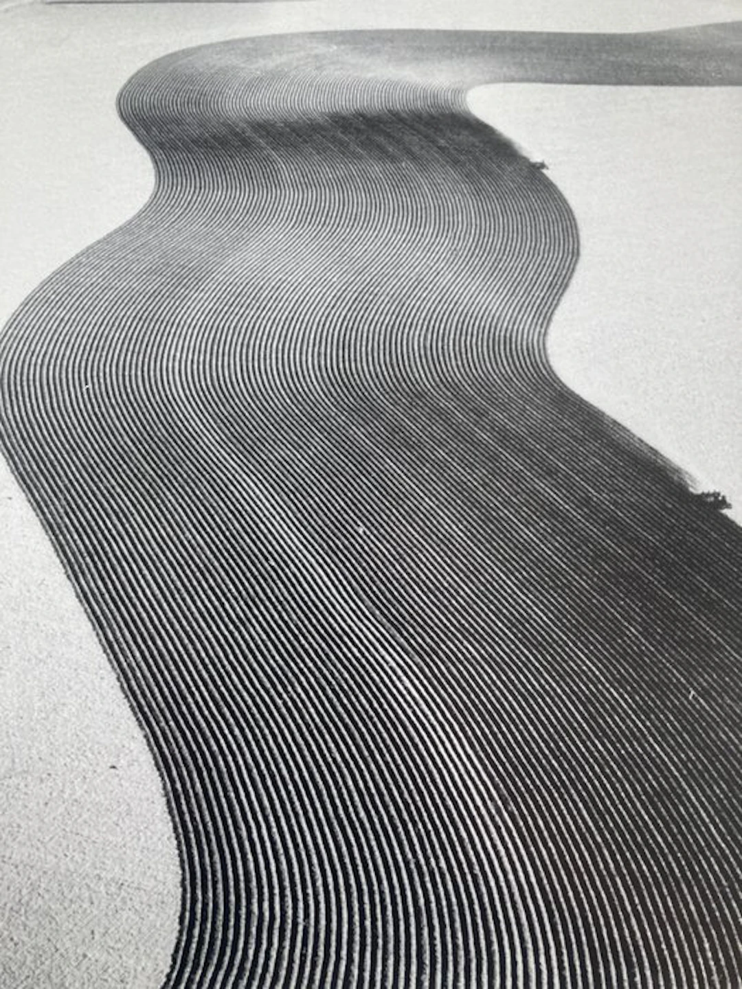 Margaret Bourke-White (1904-1971) - Grooves, Dust Bowl, EEUU, 1954