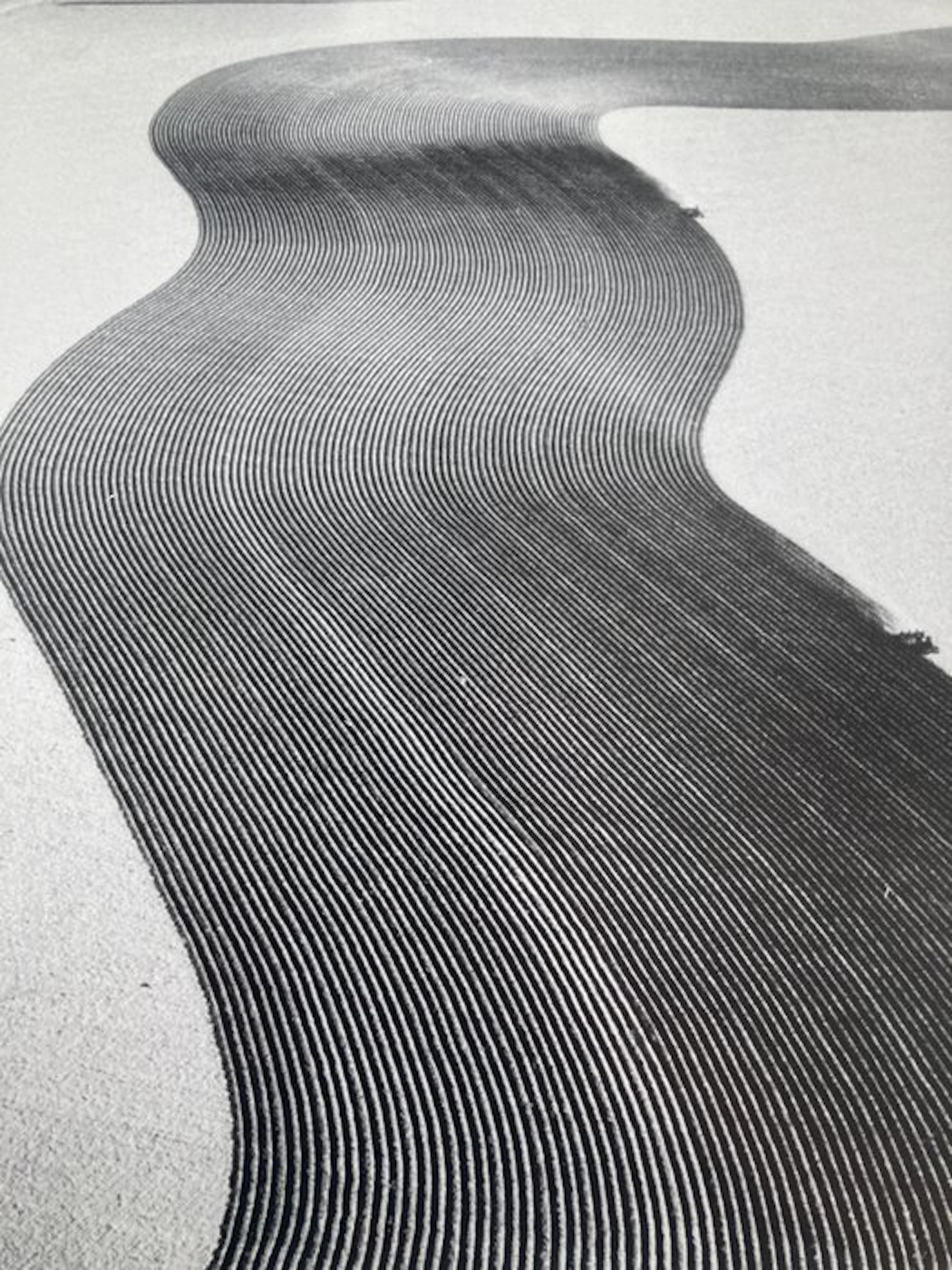 Margaret Bourke-White (1904-1971) - Grooves, Dust Bowl, EEUU, 1954