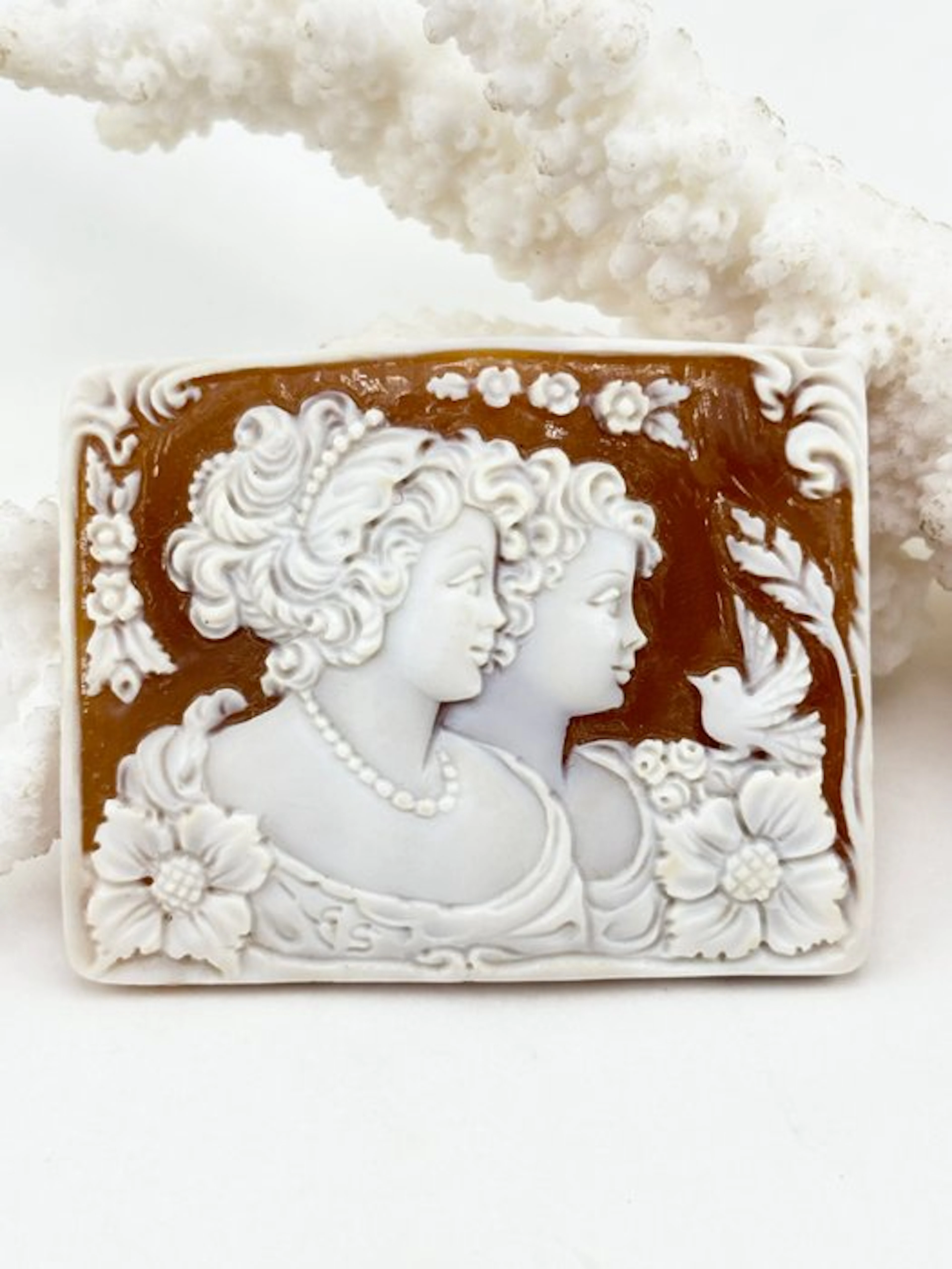 Cassis madagascariensis Cameo - Hand-carved cameo