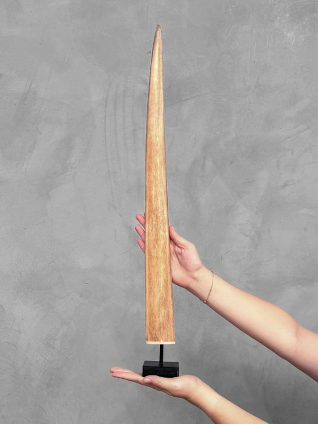 NO RESERVE PRICE - Stunning Swordfish Tusk mounted on a...
