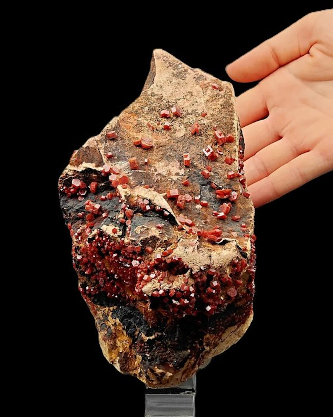 Red vanadinite on black goethite