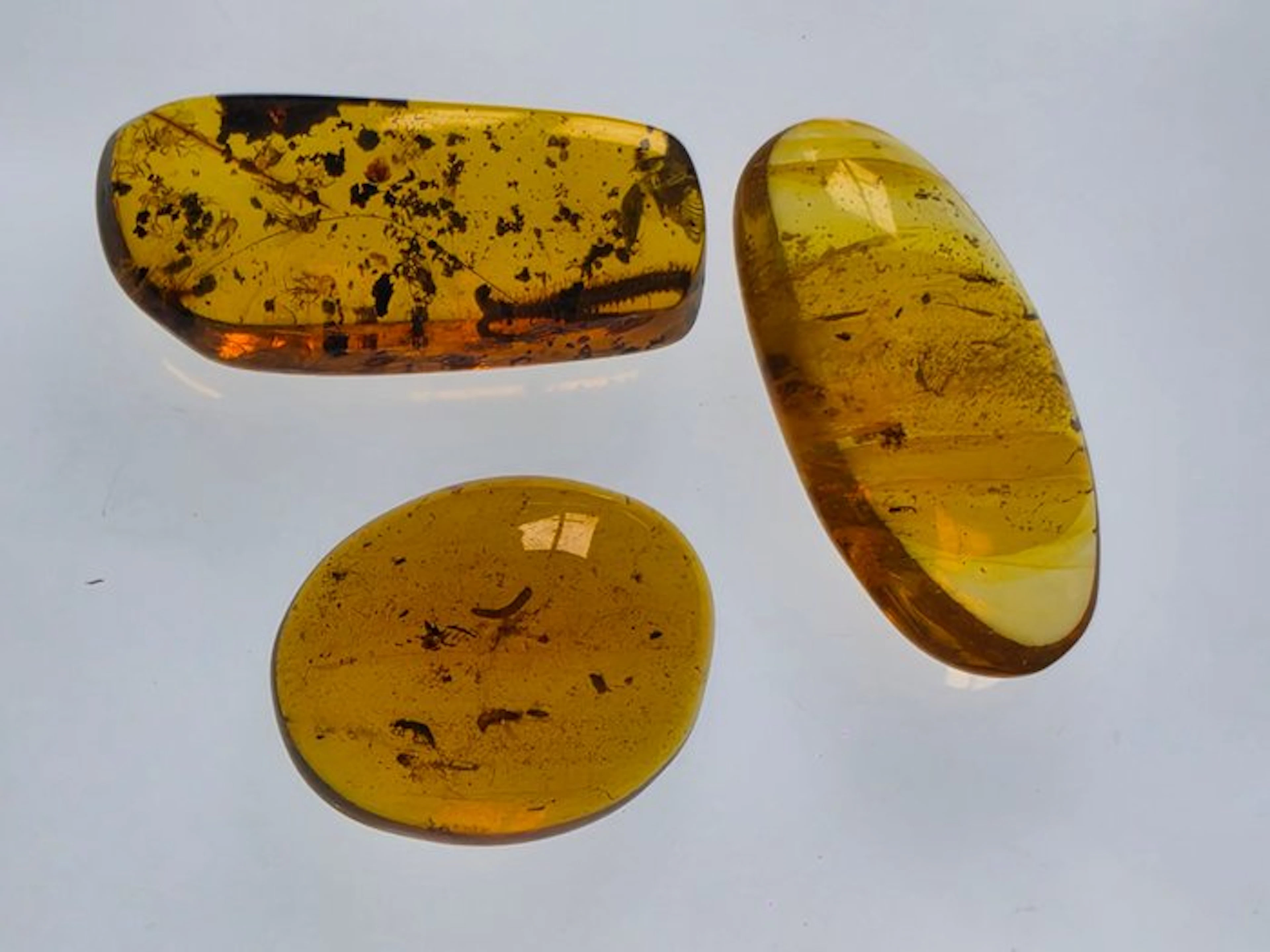 Burmese amber - Amber - Collection of Three Burmese Amber...