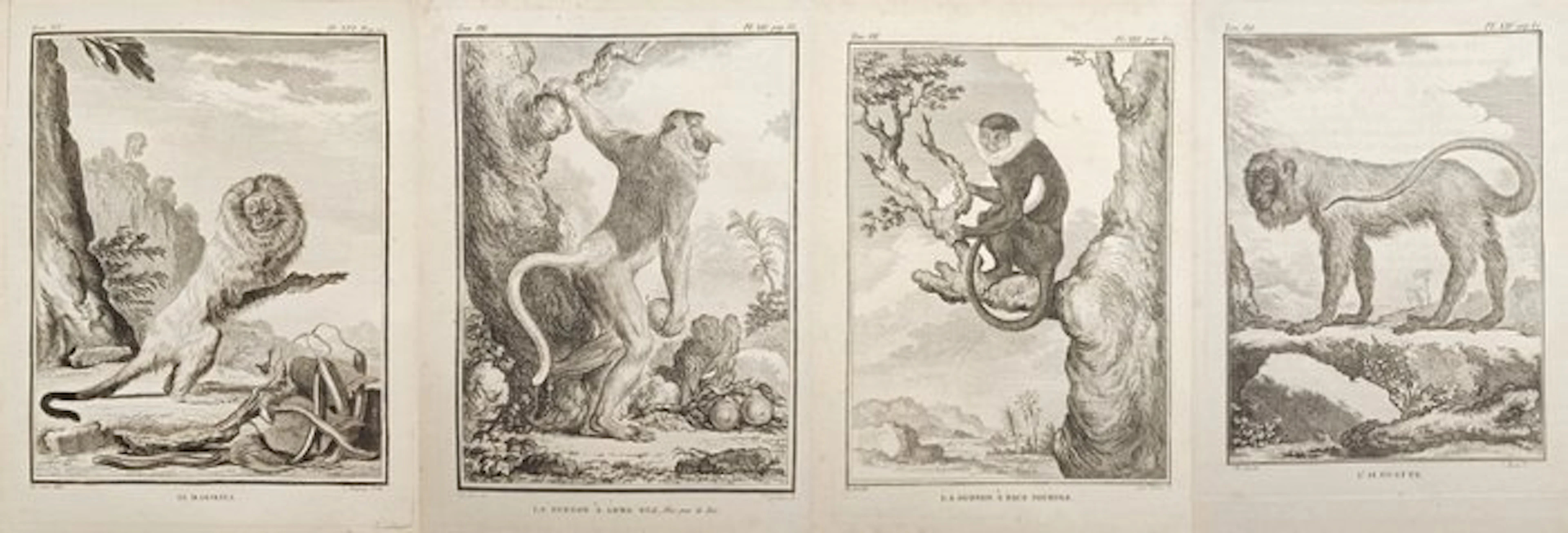 Georges-Louis Leclerc