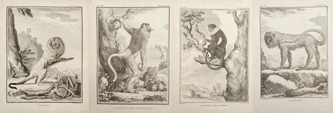 Georges-Louis Leclerc