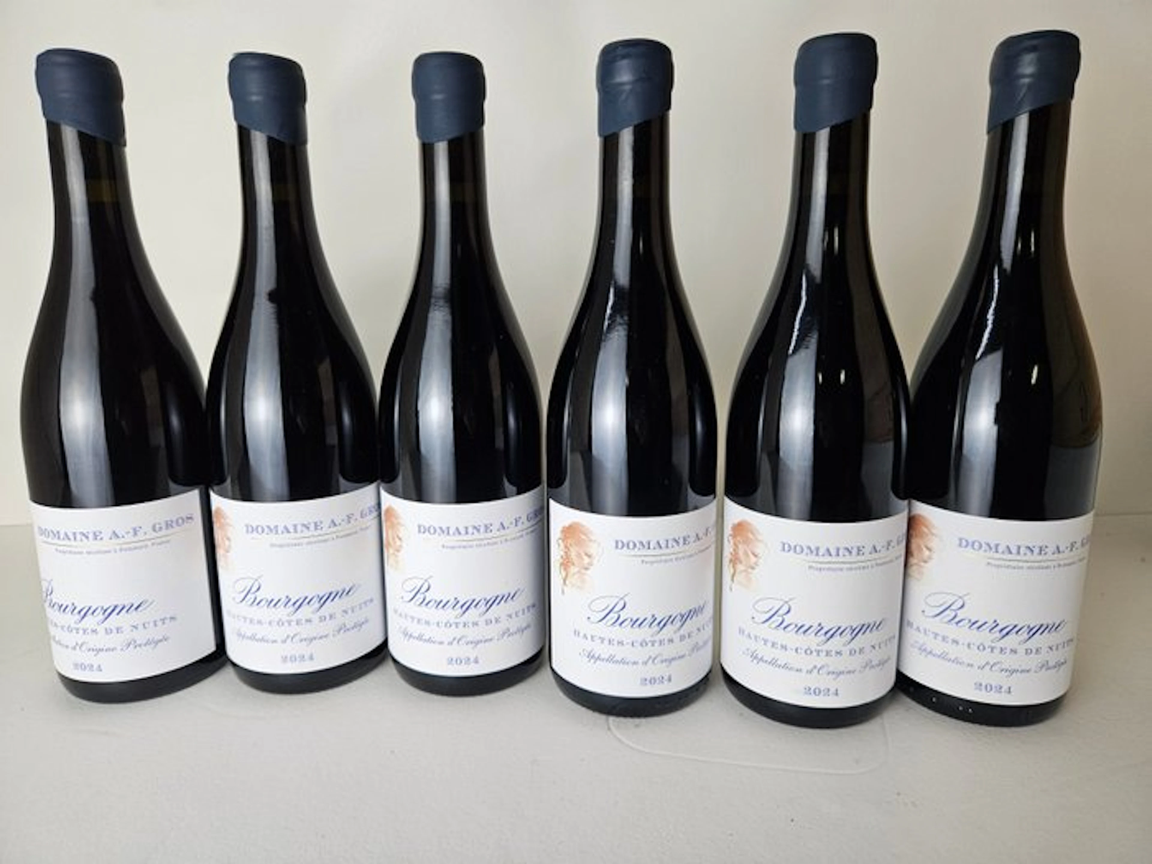 2024 Domaine A.F Gros - Bourgogne Hautes Cotes de Nuits - 6 Bottles (0.75L)