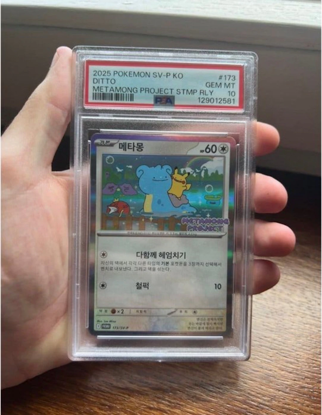 Pokémon - 1 Graded card - Ditto #173 Promo card