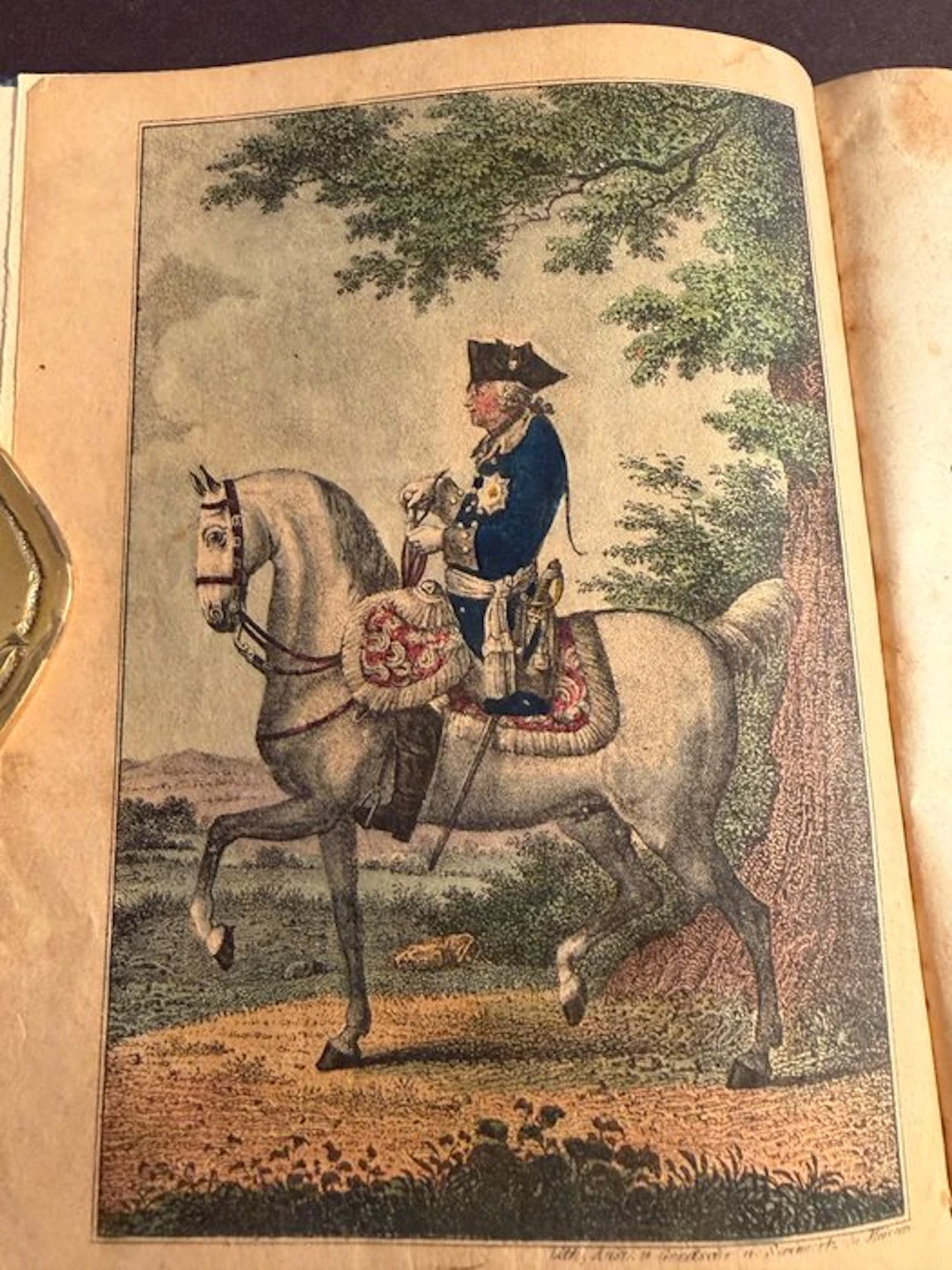 Friedrich Förster - Prachtausgabe mit kolorierten...