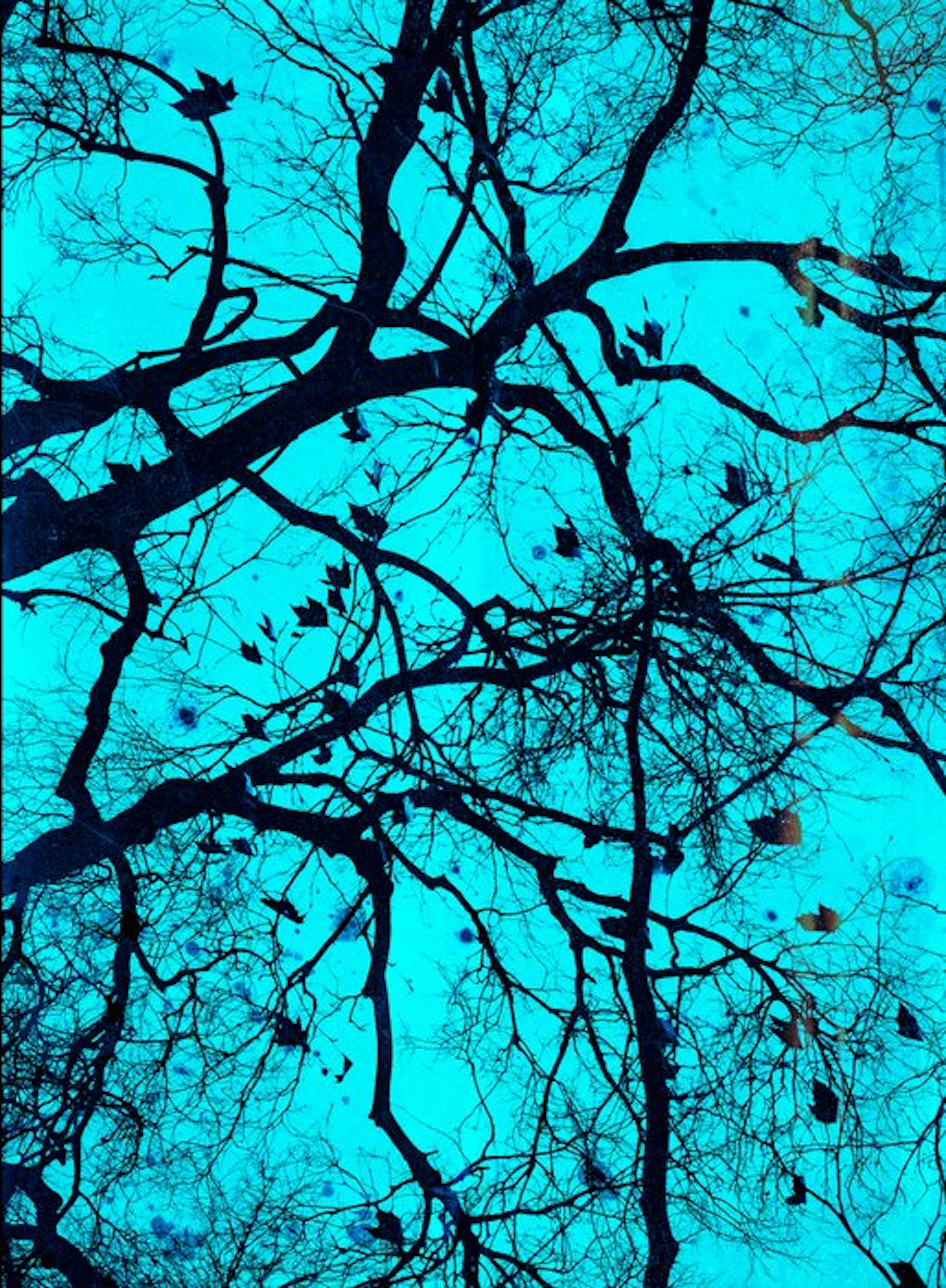 Jorge Omeñaca - Neuronal - Light blue